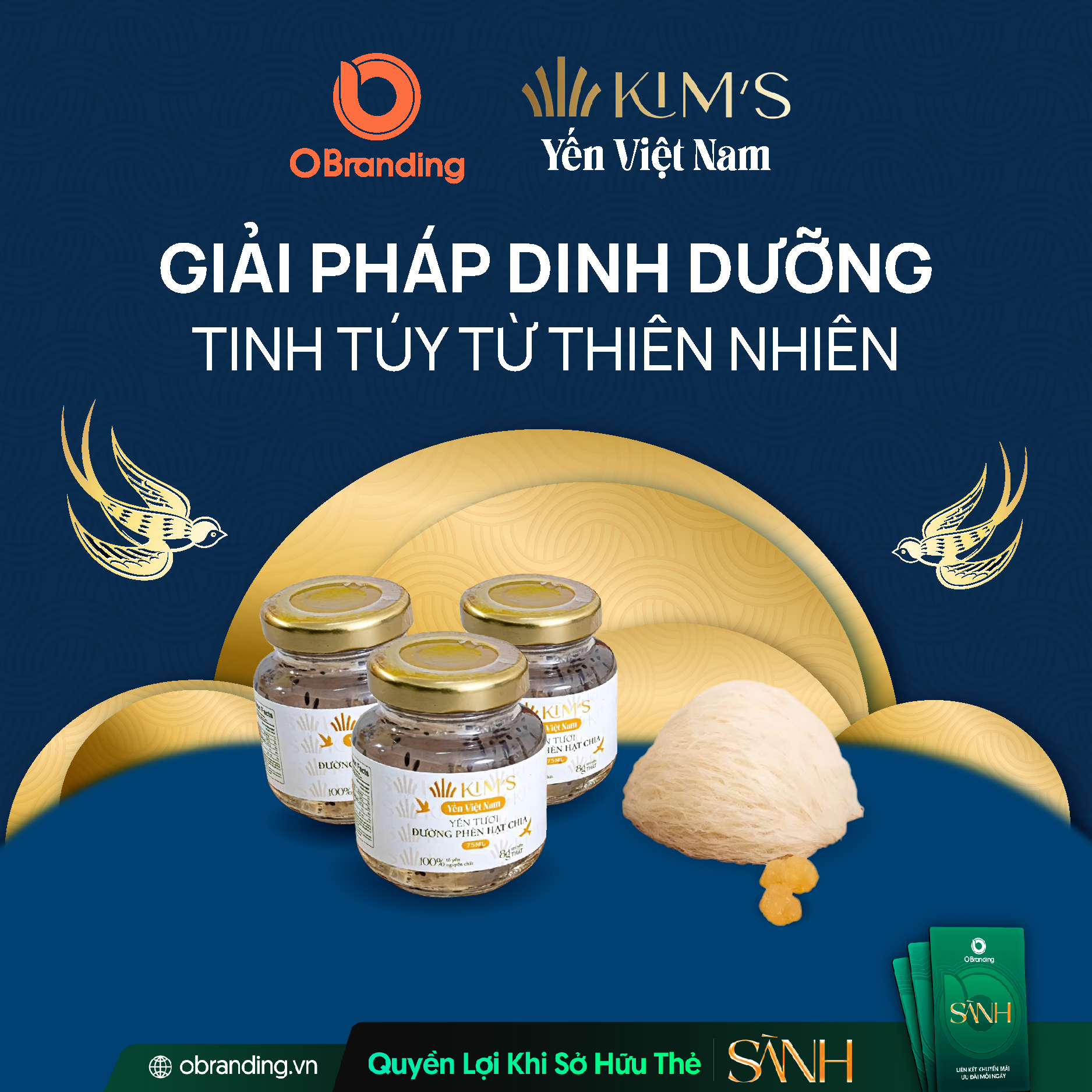 Tổ Yến KIMS Việt Nam – Tinh Hoa Từ Thiên Nhiên, Chăm Sóc Sức Khỏe Toàn Diện