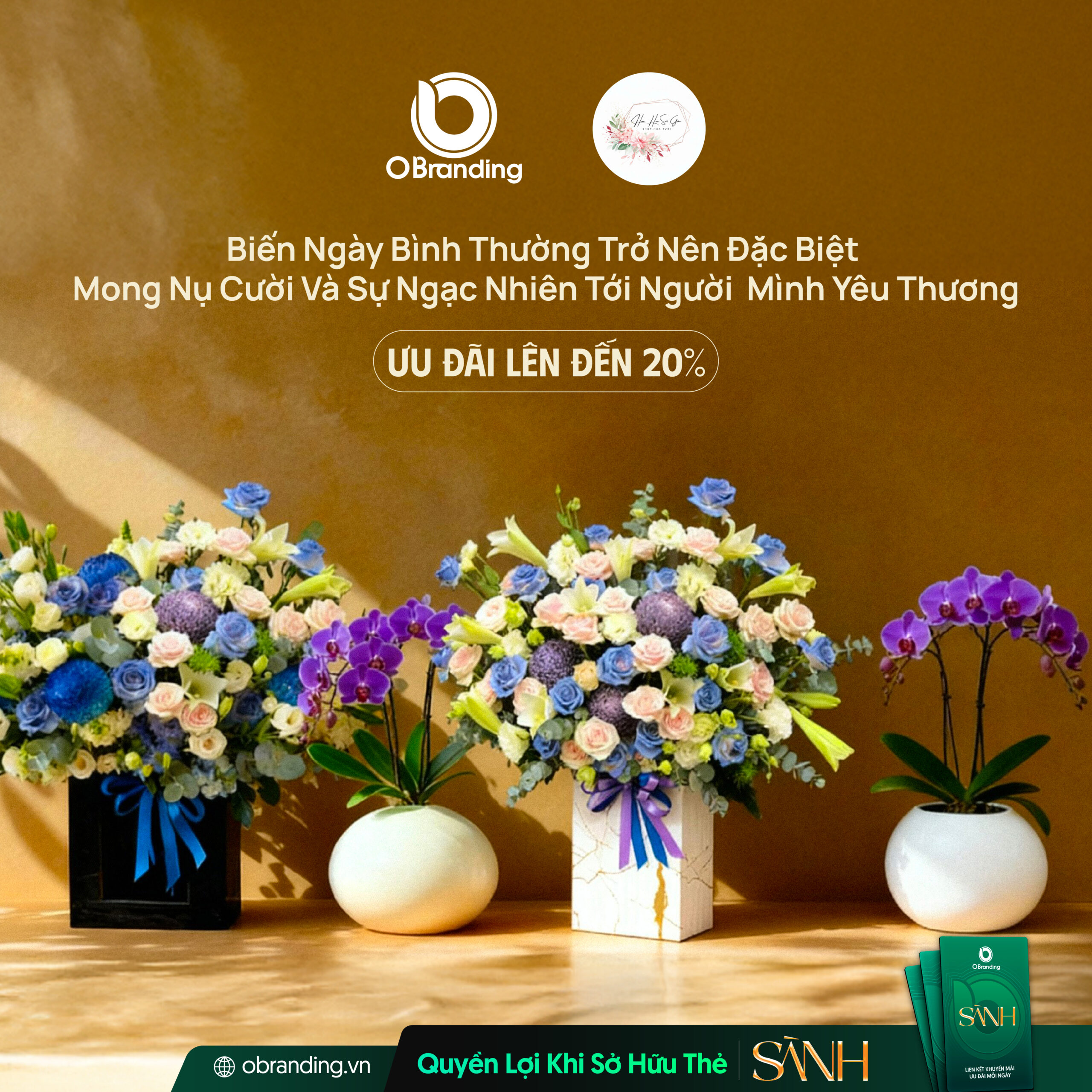 Phong Lan Đất Việt – Tận Tâm, Chỉn Chu, Đáng Tin Cậy