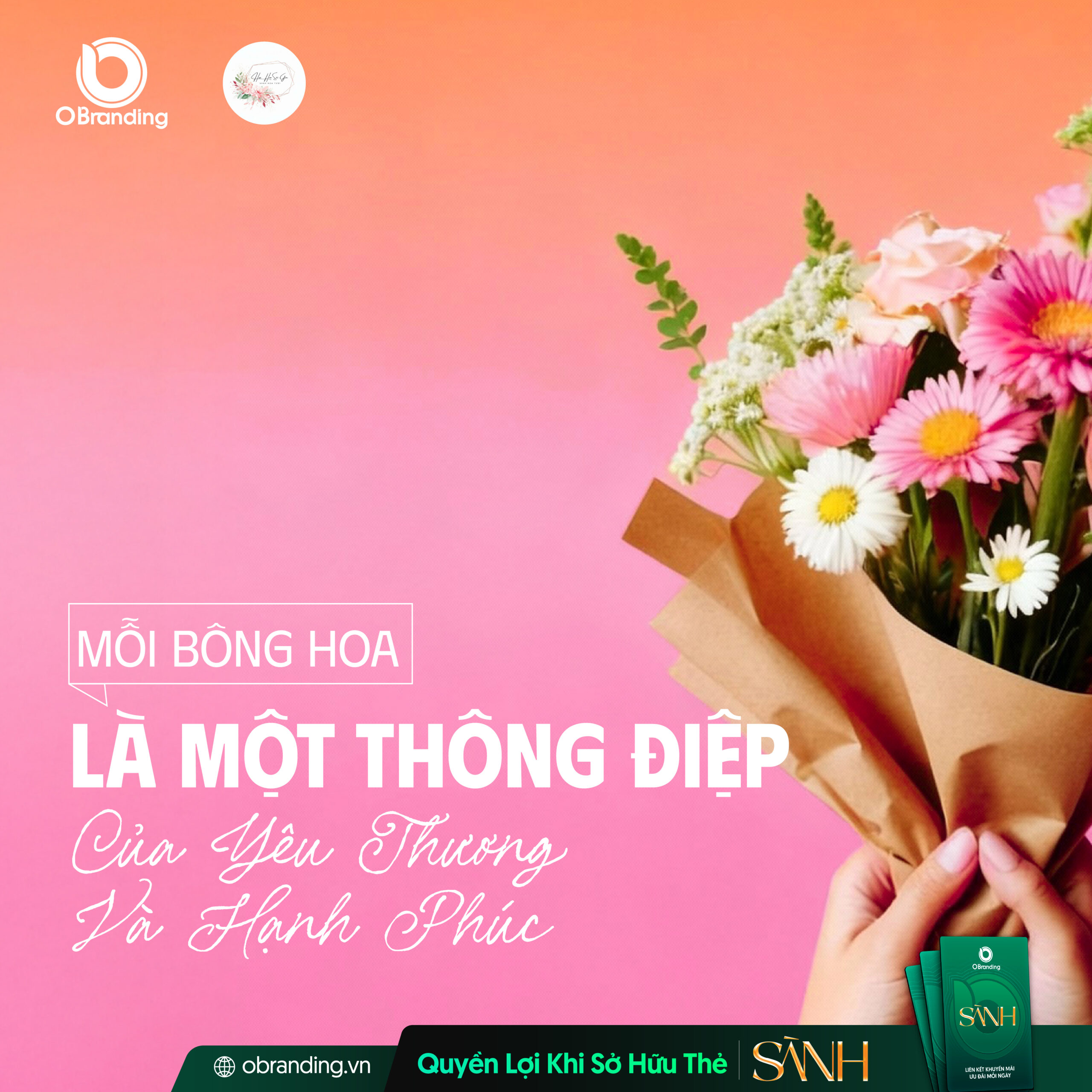 Phong Lan Đất Việt – Khi Hoa Không Chỉ Là Món Quà, Mà Là Câu Chuyện Của Cảm Xúc