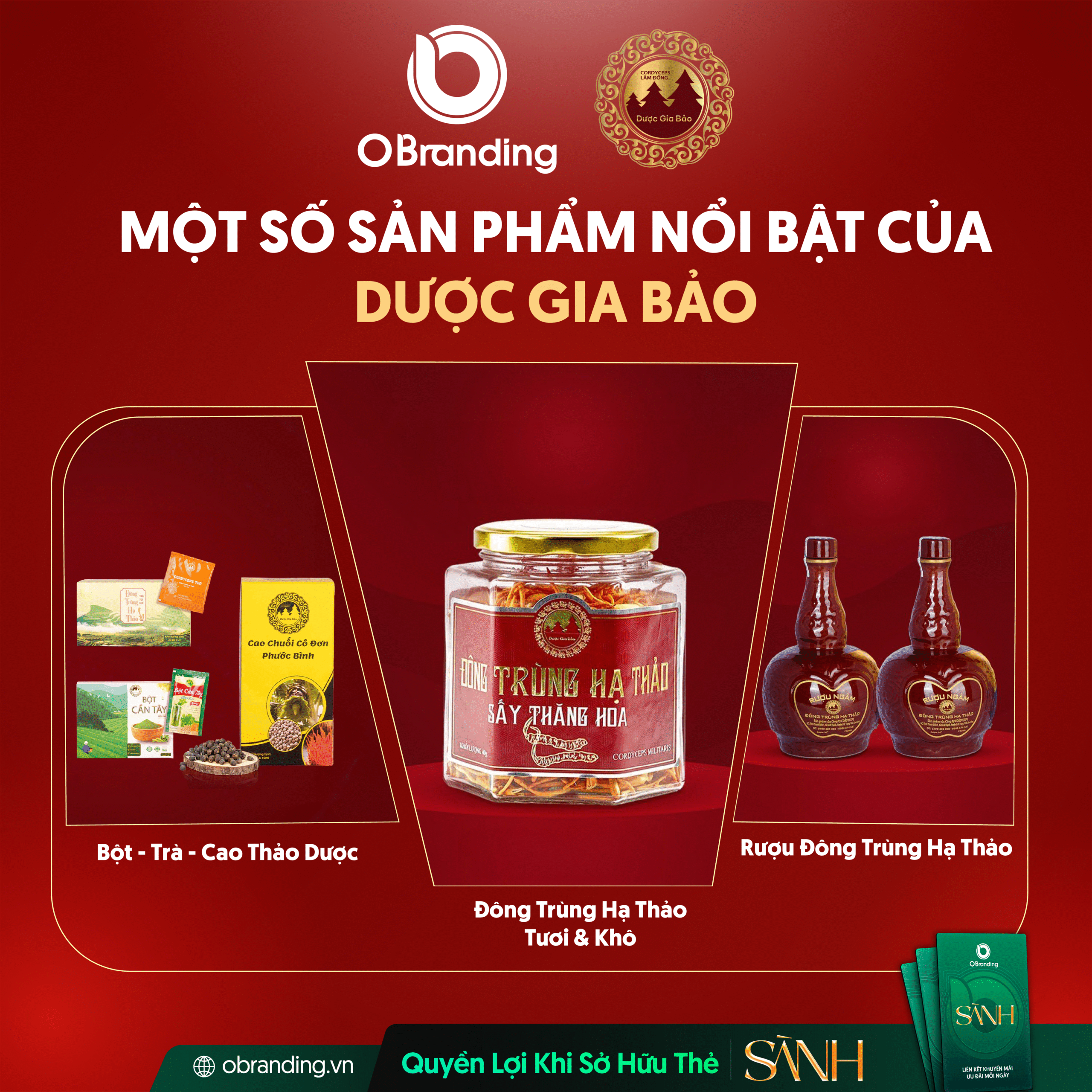dược gia bảo