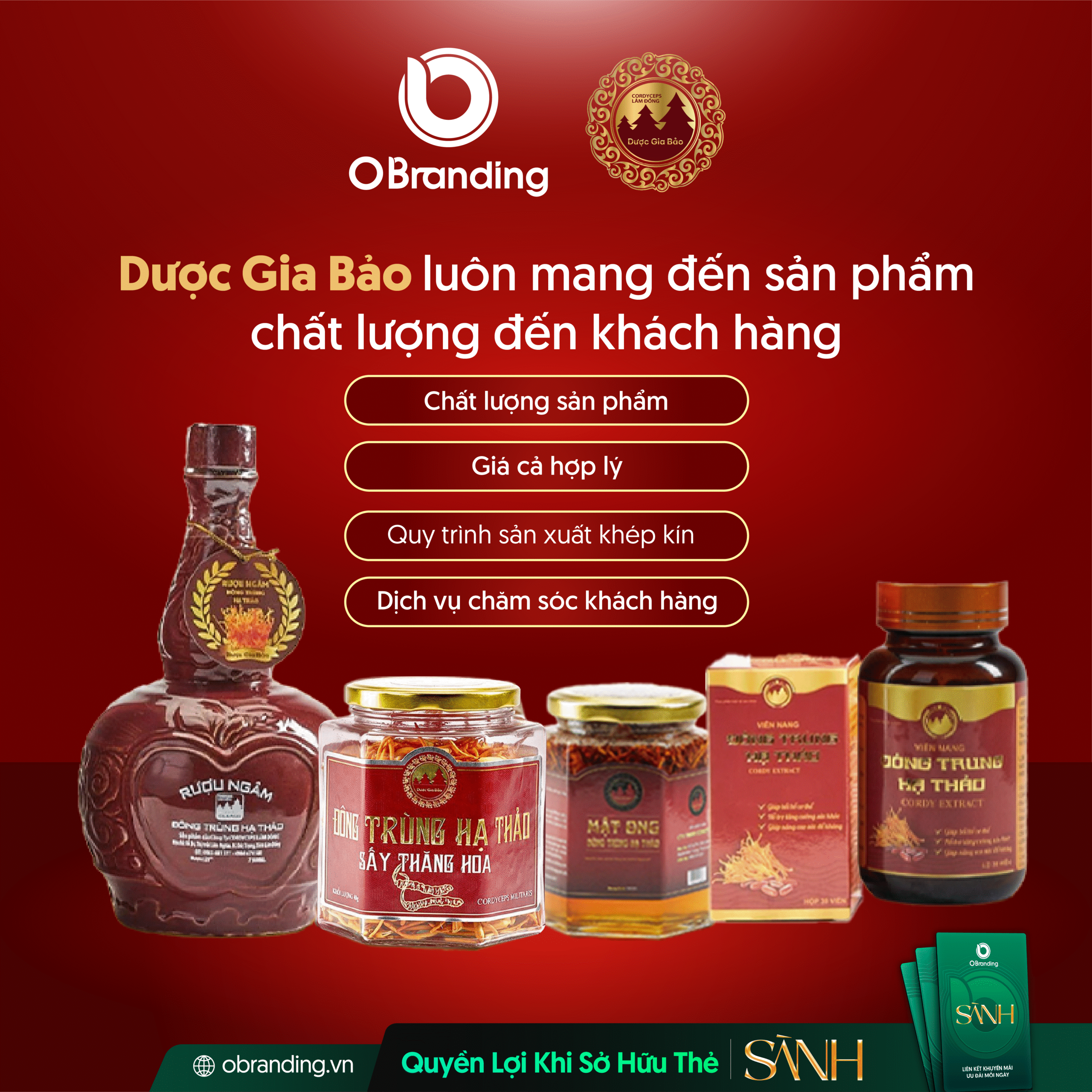 dược gia bảo