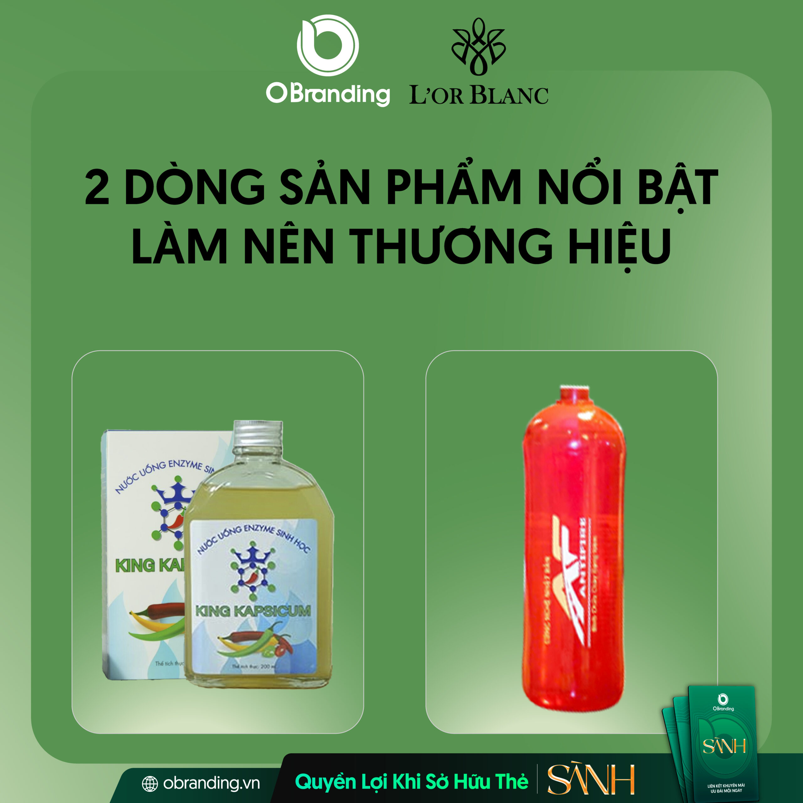2 dòng sản phẩm nổi bật