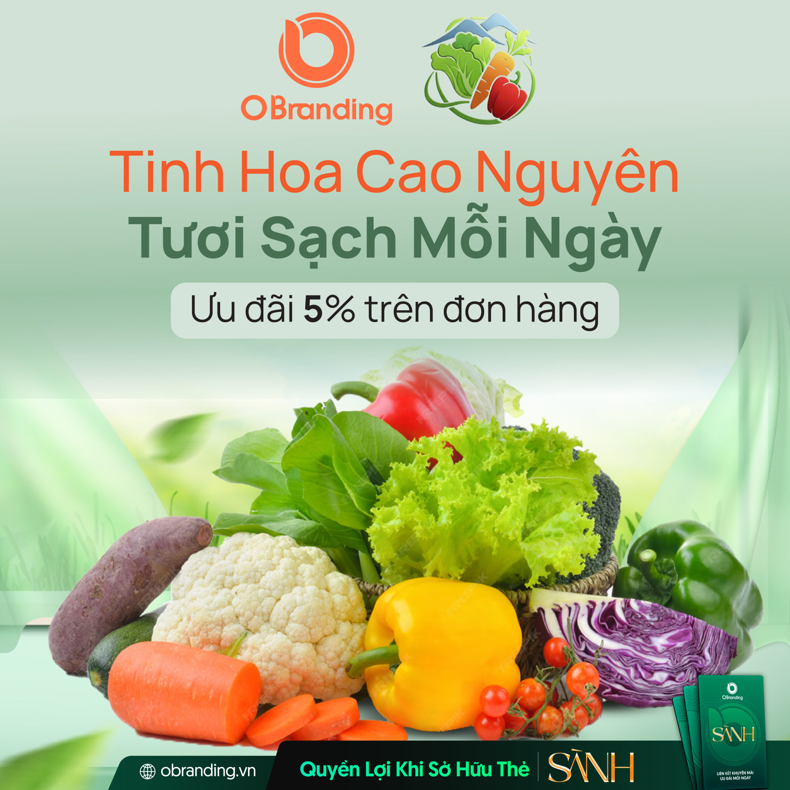 Hộ Kinh Doanh Lương Kim – Mang tinh hoa cao nguyên đến mọi gia đình Việt