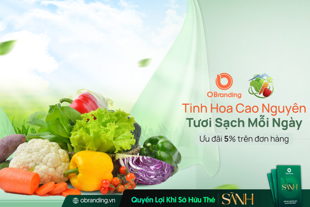 Hộ Kinh Doanh Lương Kim – Rau Củ Đà Lạt Tươi Sạch, Chuẩn Cao Nguyên