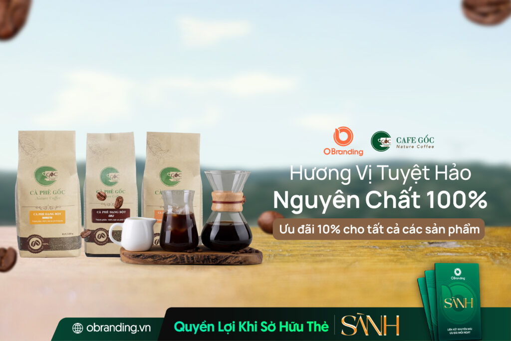 Cafe Gốc – Hương Vị Nguyên Chất Từ Những Hạt Cà Phê Gốc Việt
