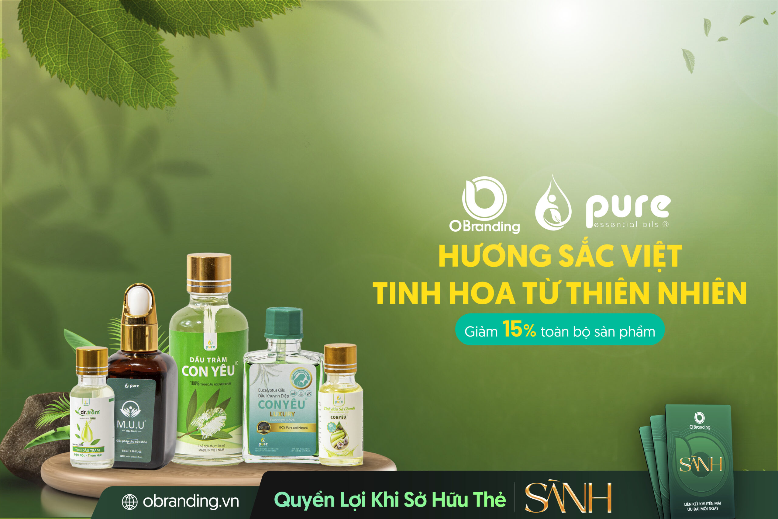 Pure Global – Hành Trình Nâng Niu Hạnh Phúc Của Mẹ Và Bé