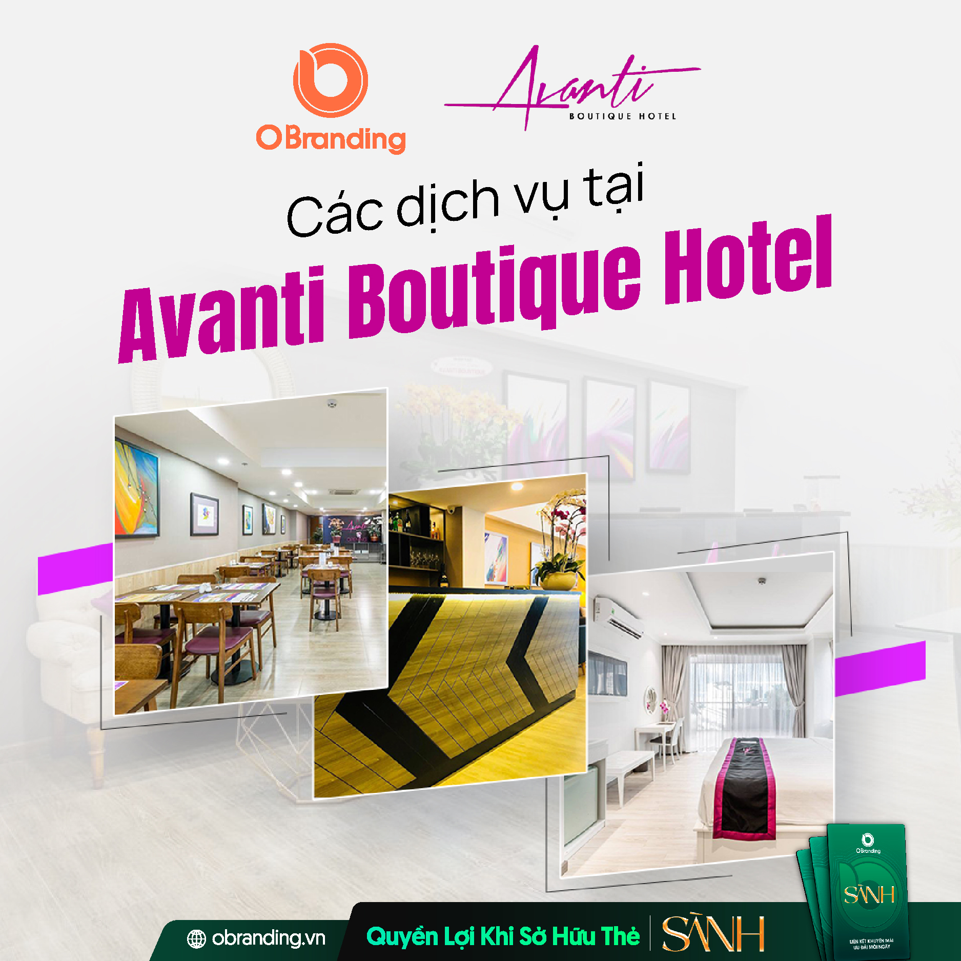  Phong cách boutique – Dấu ấn riêng của Avanti