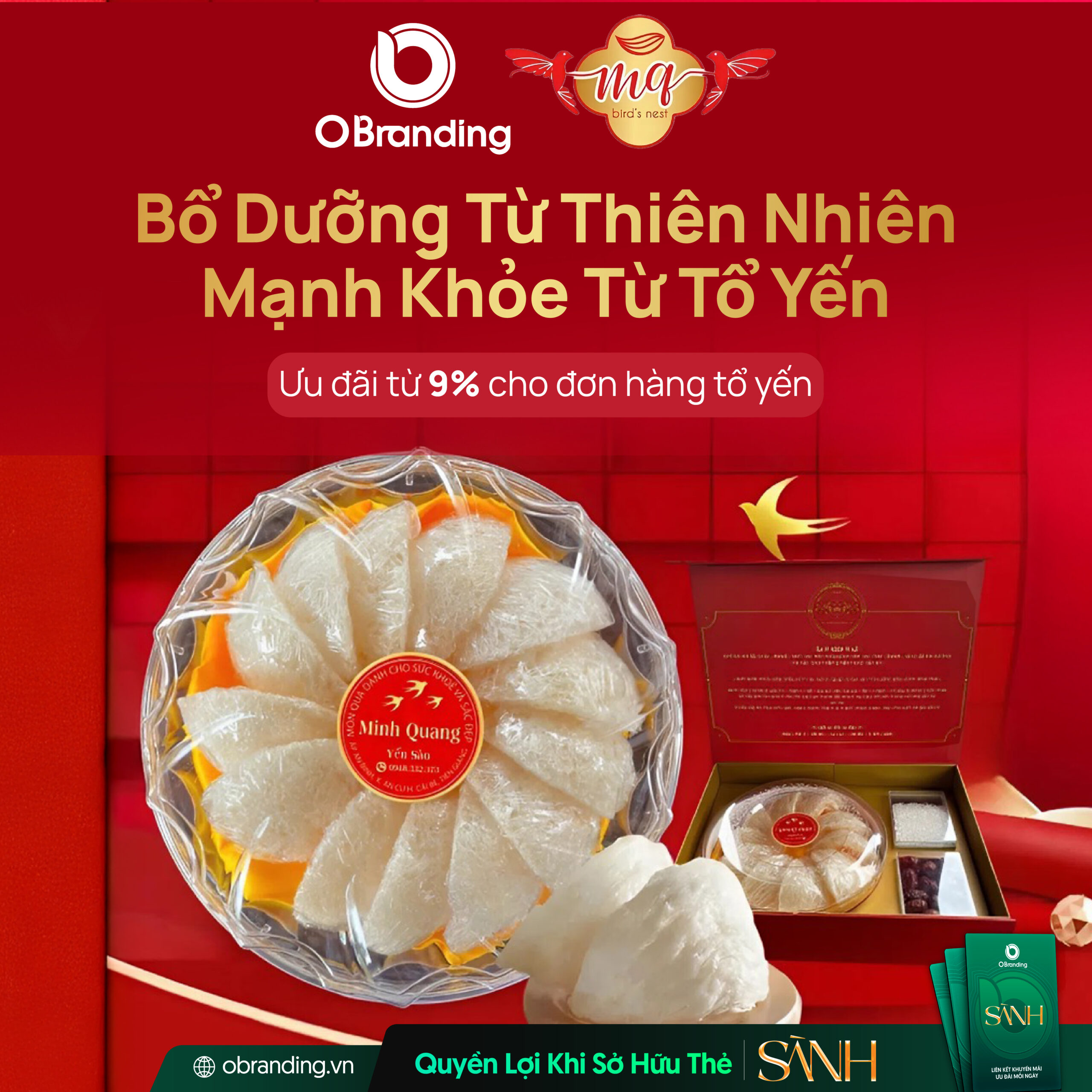 Yến Sào Minh Quang – Hành Trình Giữ Lại Tinh Chất Từ Thiên Nhiên