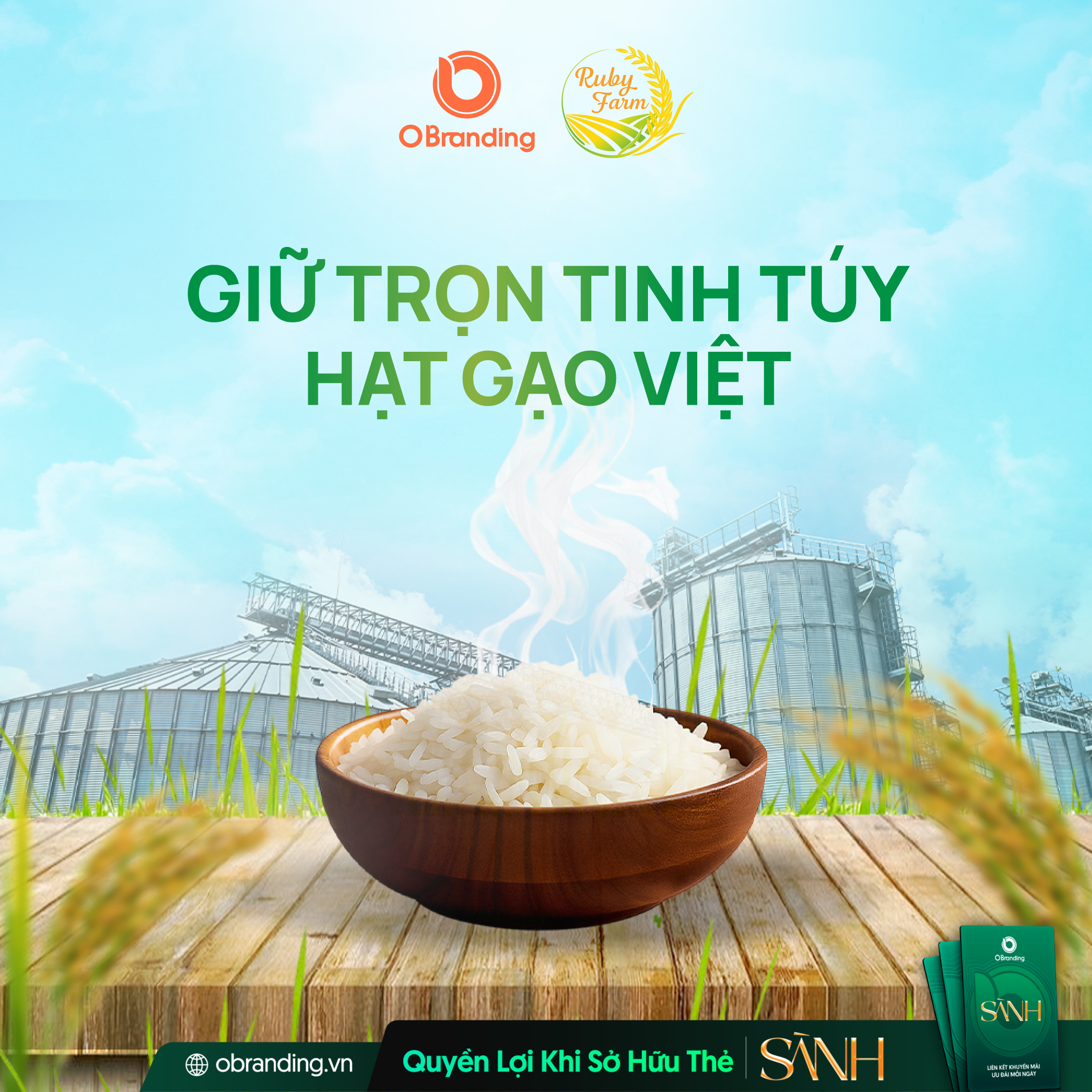 Nhà Máy Gạo RUBY – Niềm Tự Hào Từ Vùng Lúa Trù Phú Đồng Bằng Sông Cửu Long