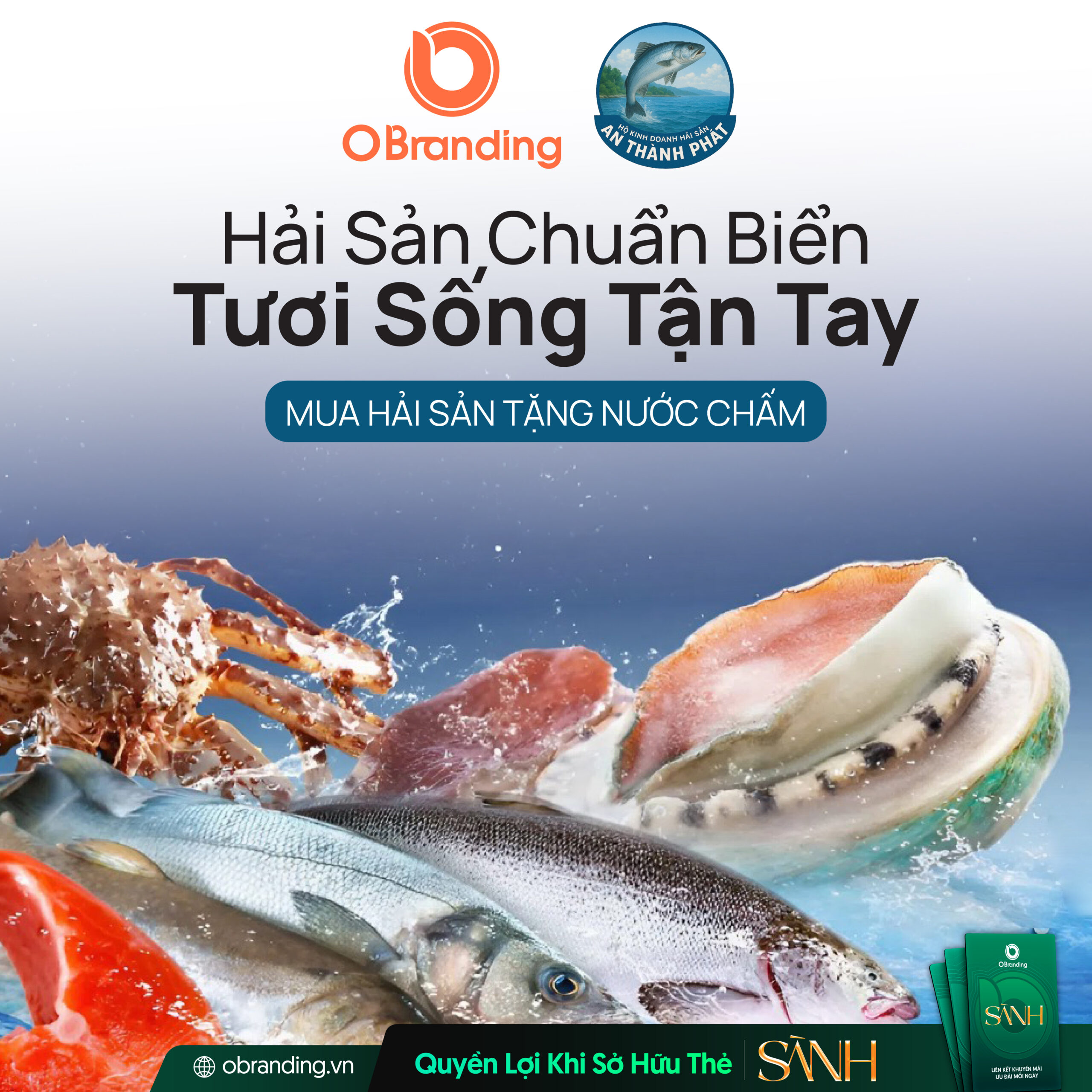 An Thành Phát – Nguồn hải sản tươi sống đáng tin cậy cho mọi gia đình