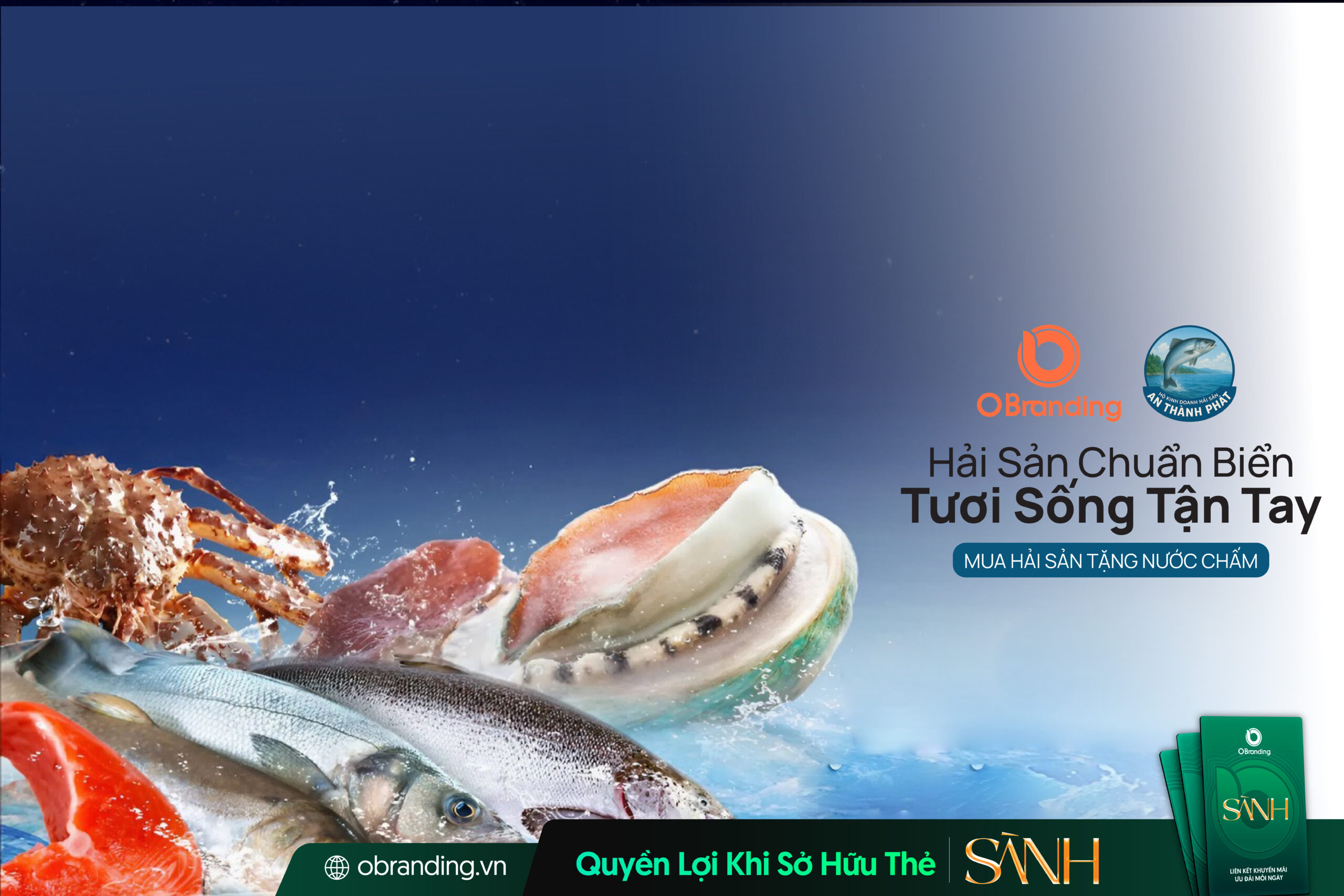 An Thành Phát – Địa Chỉ Hải Sản Tươi Sống Chất Lượng Cao