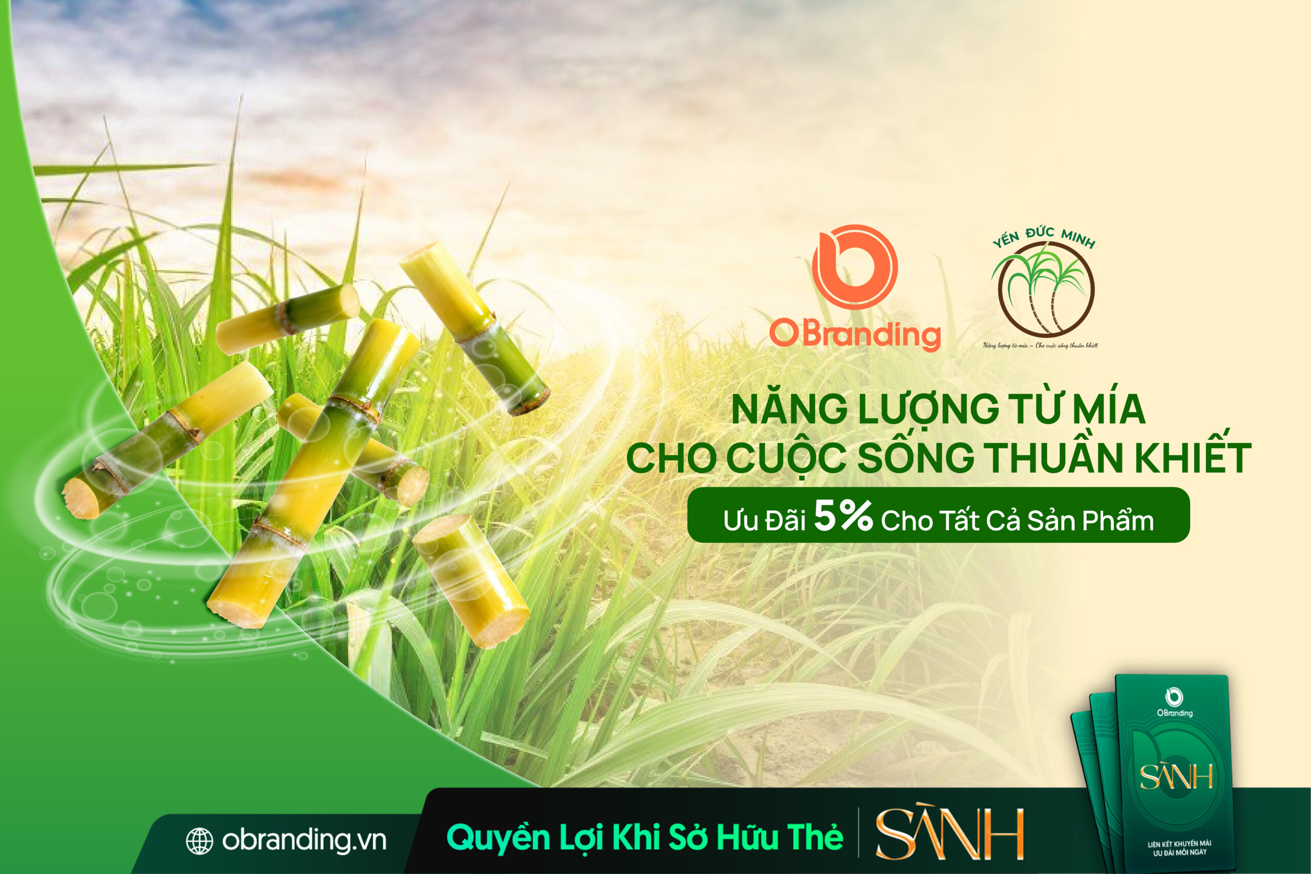 Yến Đức Minh – Nguồn Năng Lượng Thuần Khiết Từ Mía Việt