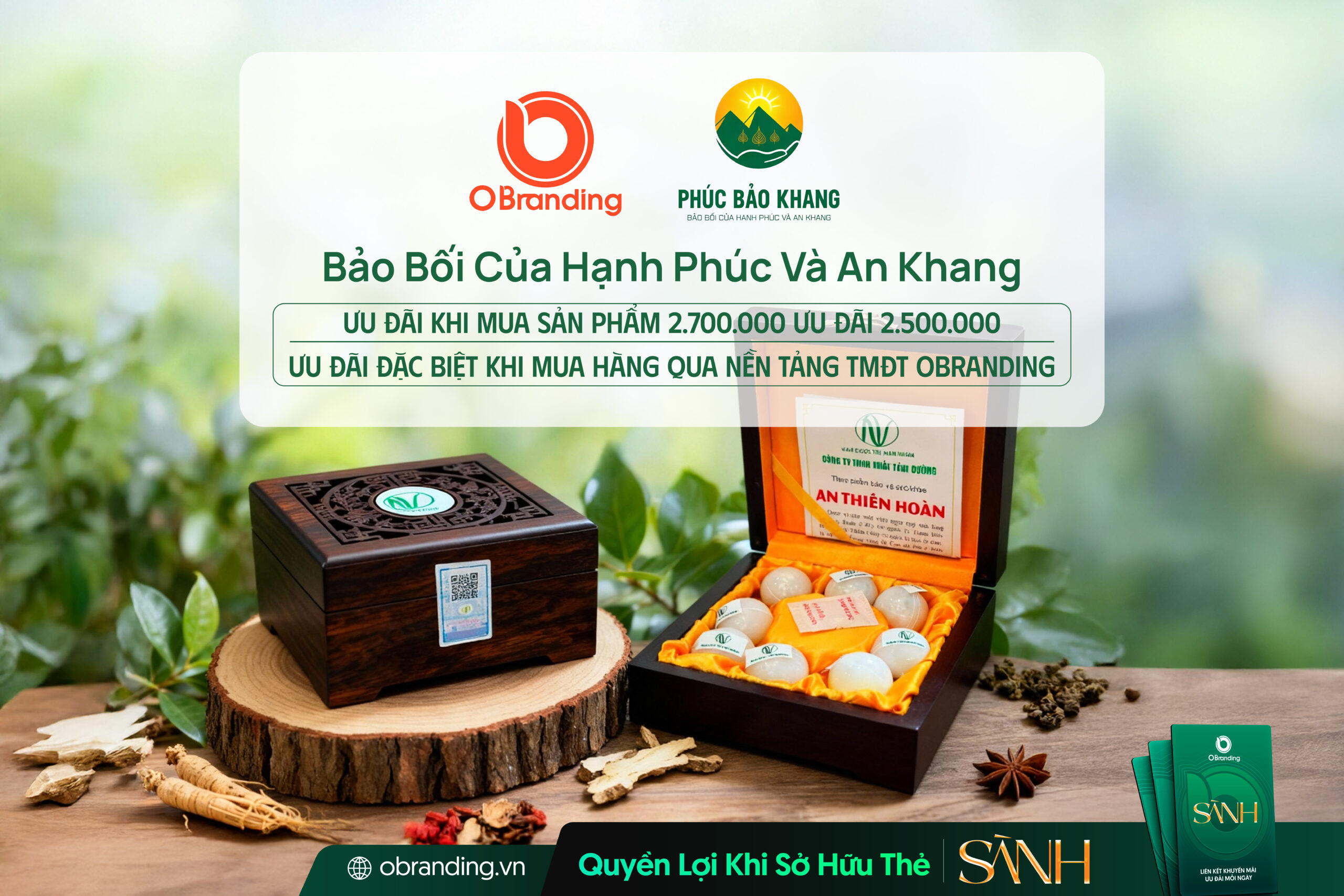 Phúc Bảo Khang – Thương Mại & Đầu Tư Vì Giá Trị Bền Vững