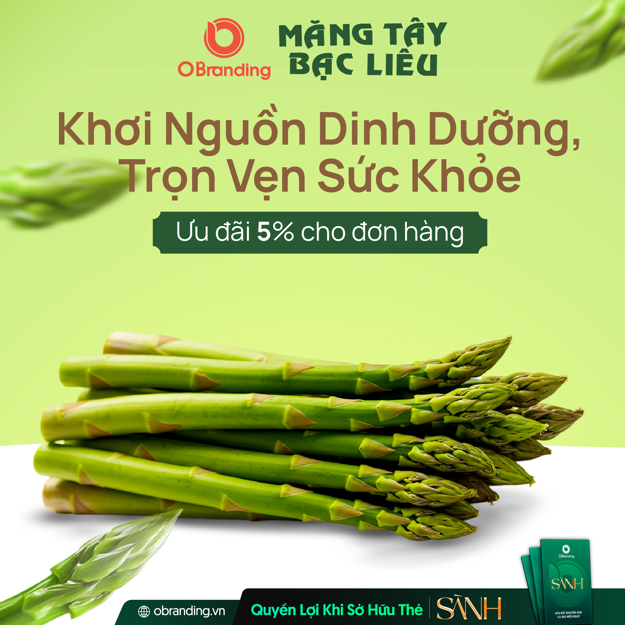 Cơ Sở Măng Tây – Khơi nguồn dinh dưỡng từ thiên nhiên