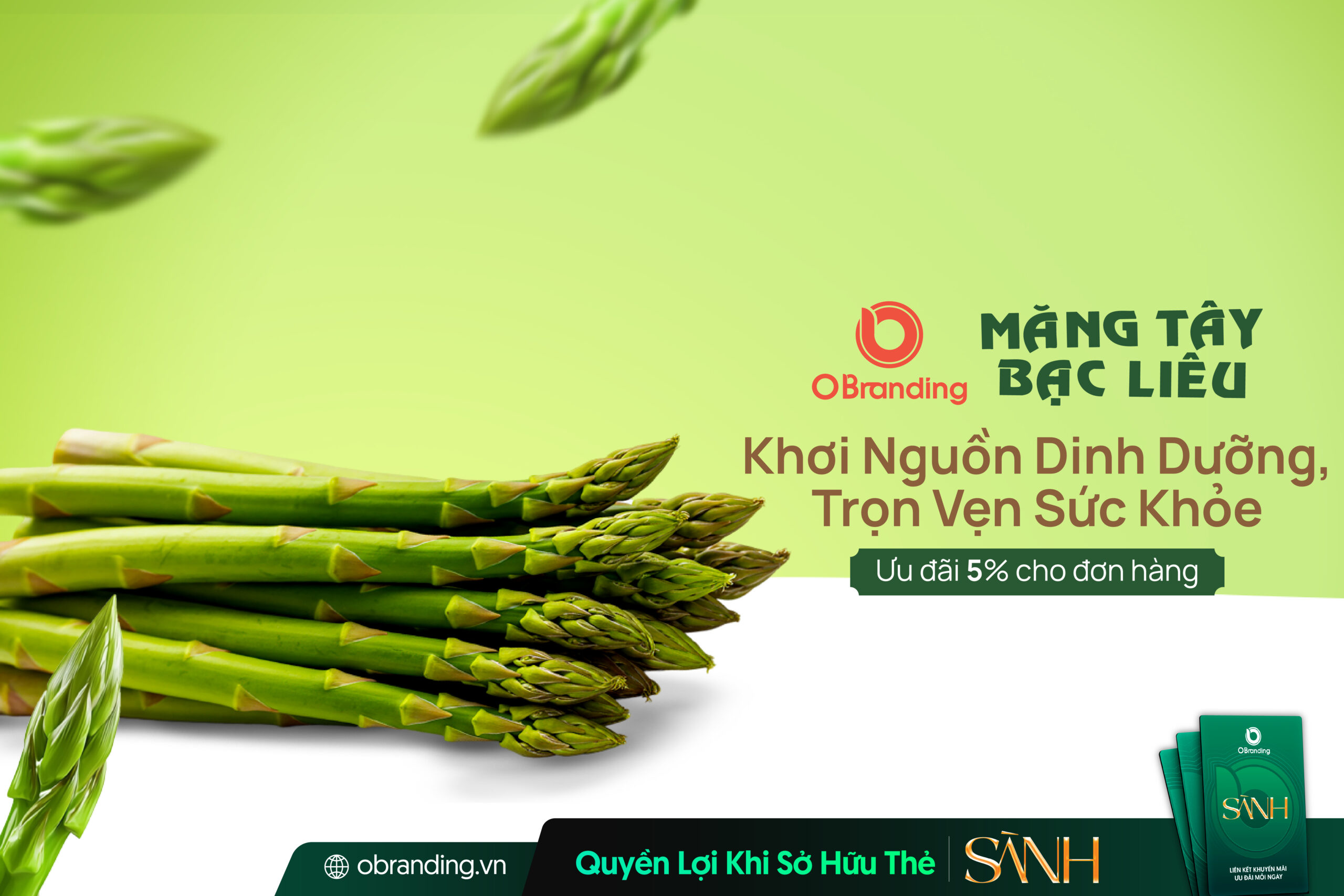 Cơ Sở Măng Tây – Khơi Nguồn Dinh Dưỡng Từ Tự Nhiên, Tươi Sạch Mỗi Ngày