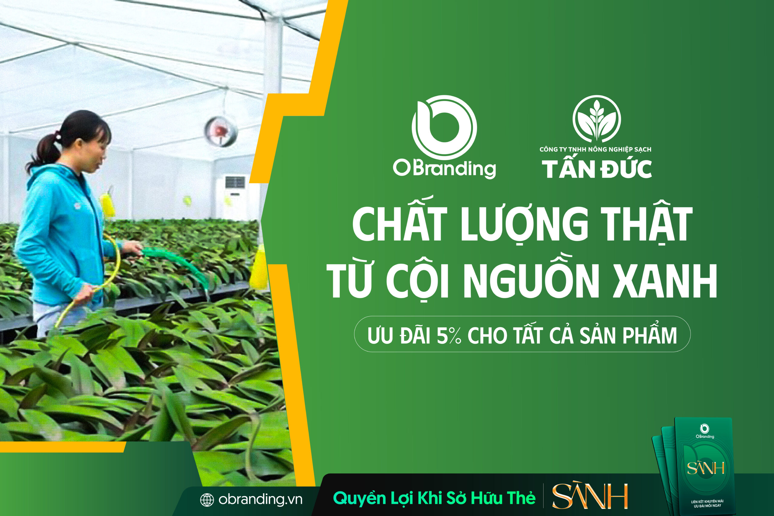 Nông Nghiệp Sạch Tấn Đức – Kiến Tạo Chuỗi Giá Trị Xanh Cho Tương Lai Bền Vững