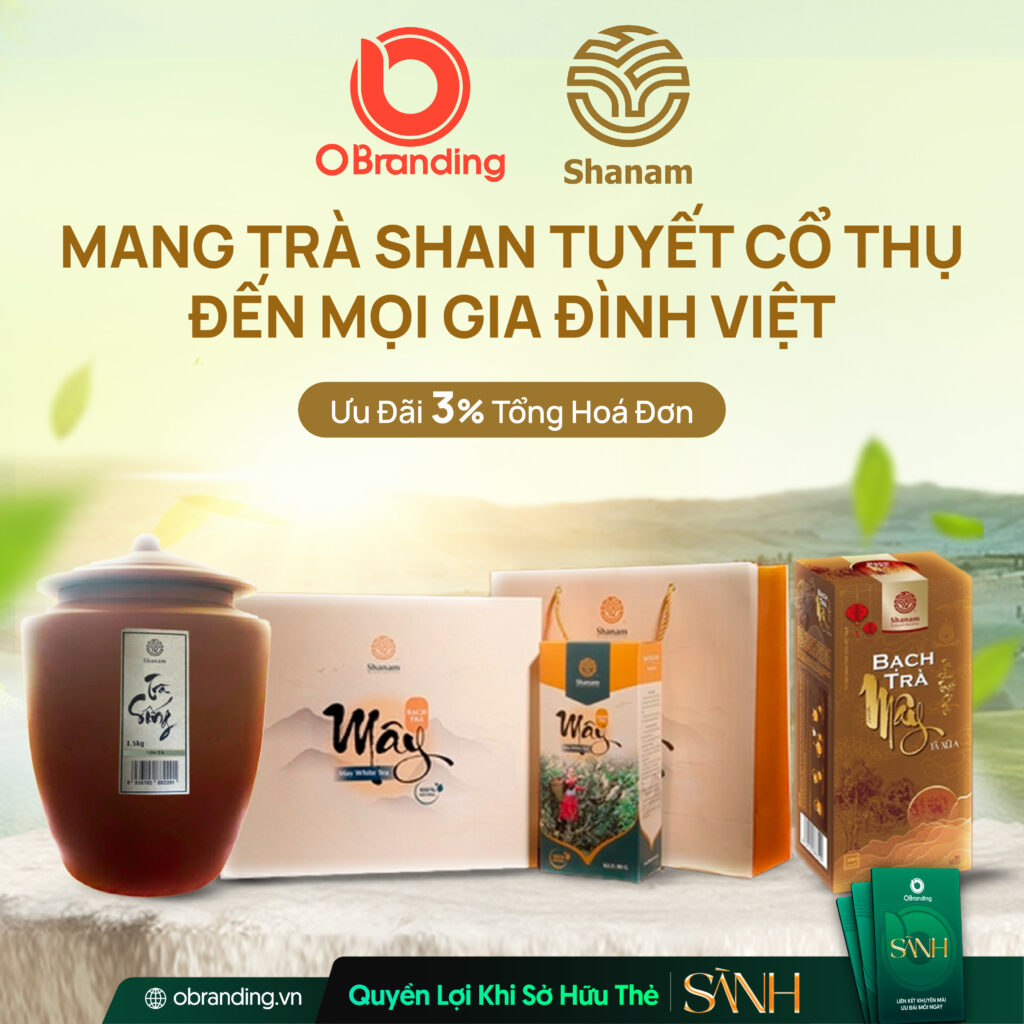SHANNAM – TỪ CHÈ SHAN TUYẾT CỔ THỤ ĐẾN GIÁ TRỊ BỀN VỮNG CHO CỘNG ĐỒNG TÂY BẮC
