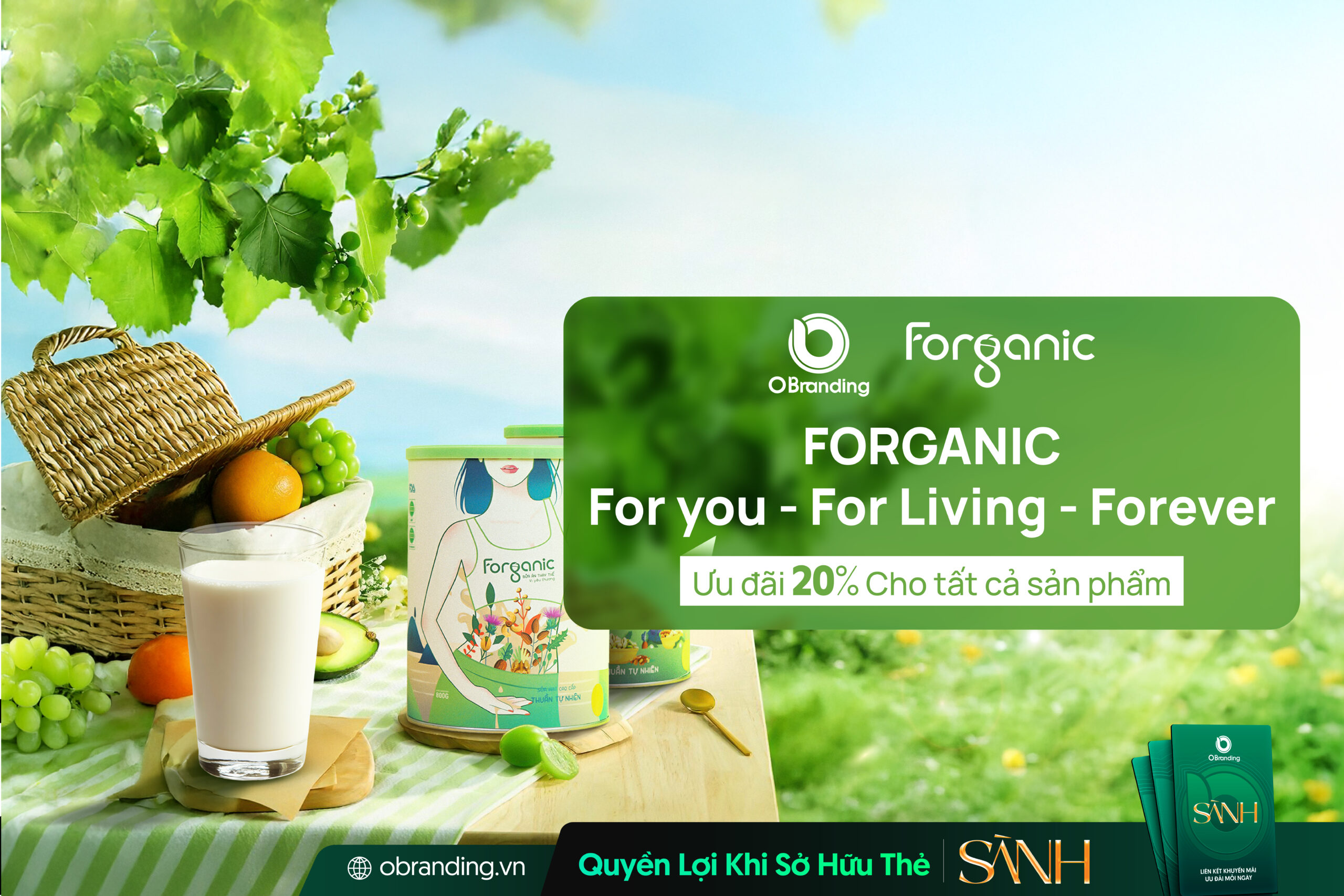 NHÀ PHÂN PHỐI SỮA HẠT FORGANIC – GIẢI PHÁP DINH DƯỠNG XANH CHO LỐI SỐNG LÀNH MẠNH