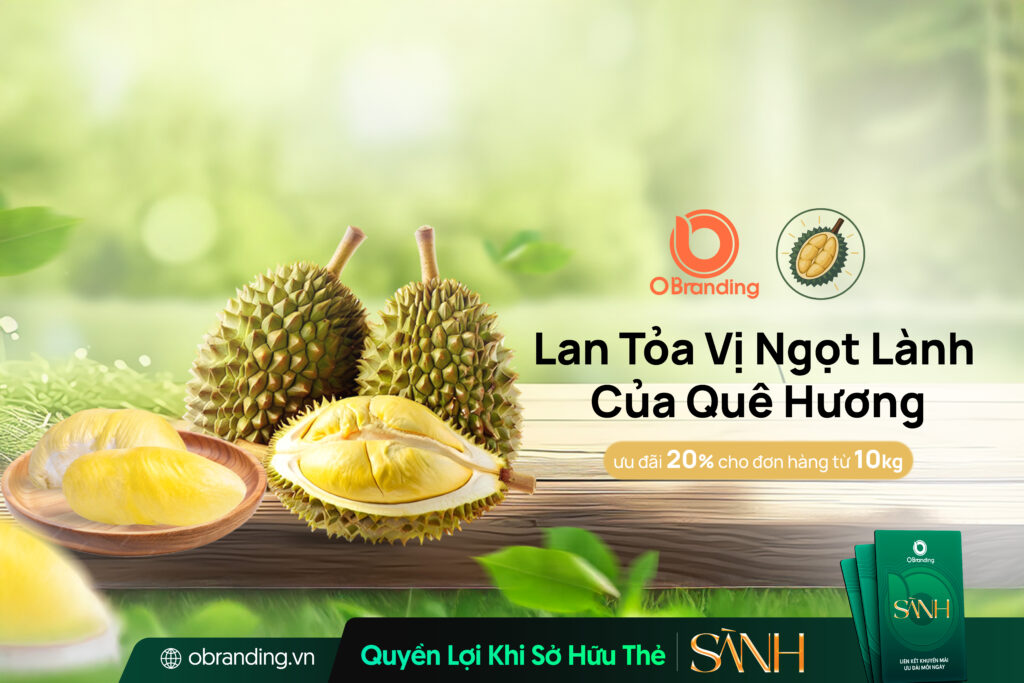 VỰA SẦU RIÊNG LỤC THÀNH PHÁT – GỬI TRỌN TÌNH QUÊ TRONG TỪNG TRÁI SẦU RIÊNG VIỆT