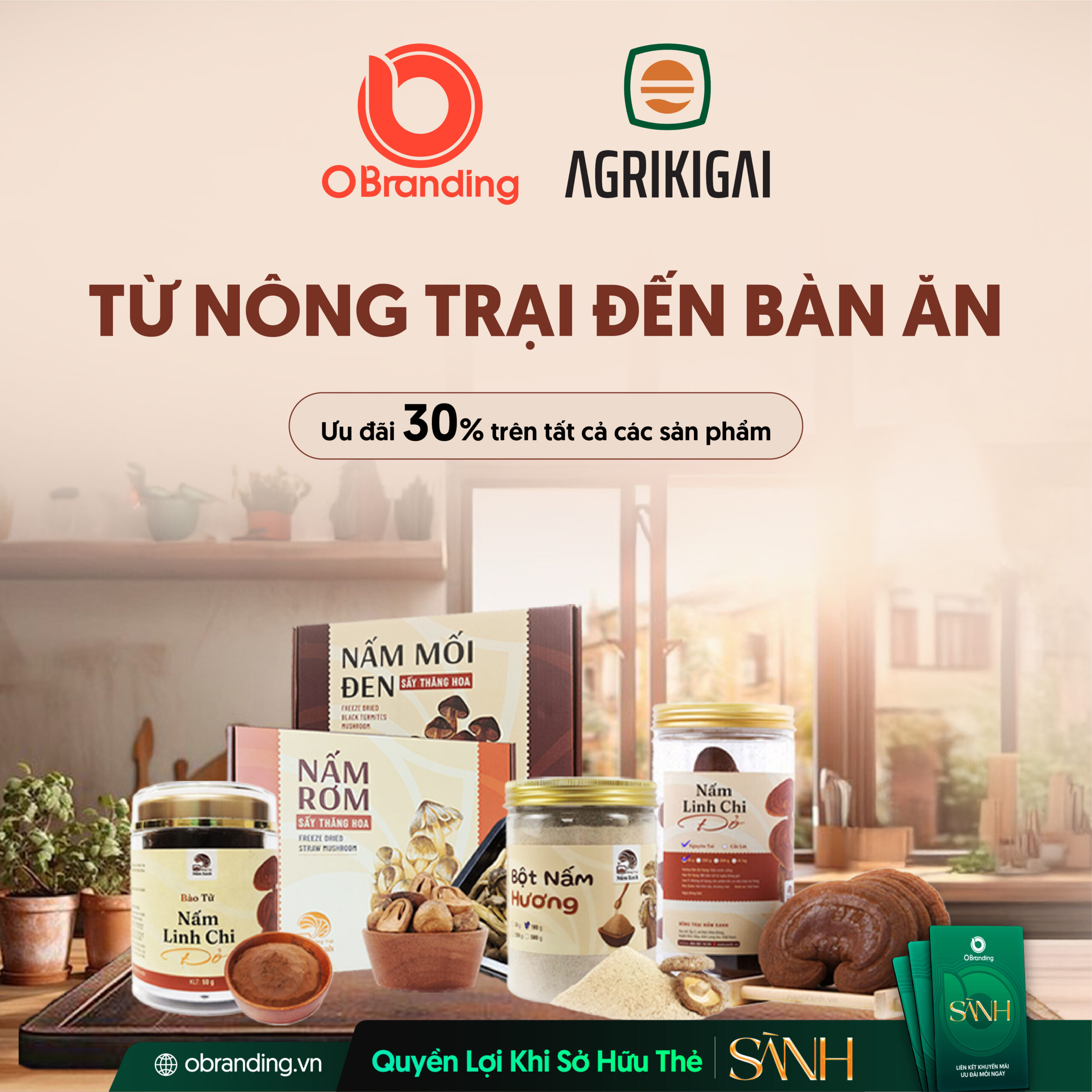 Nghiên cứu, trồng trọt và cung cấp nấm theo quy trình khép kín