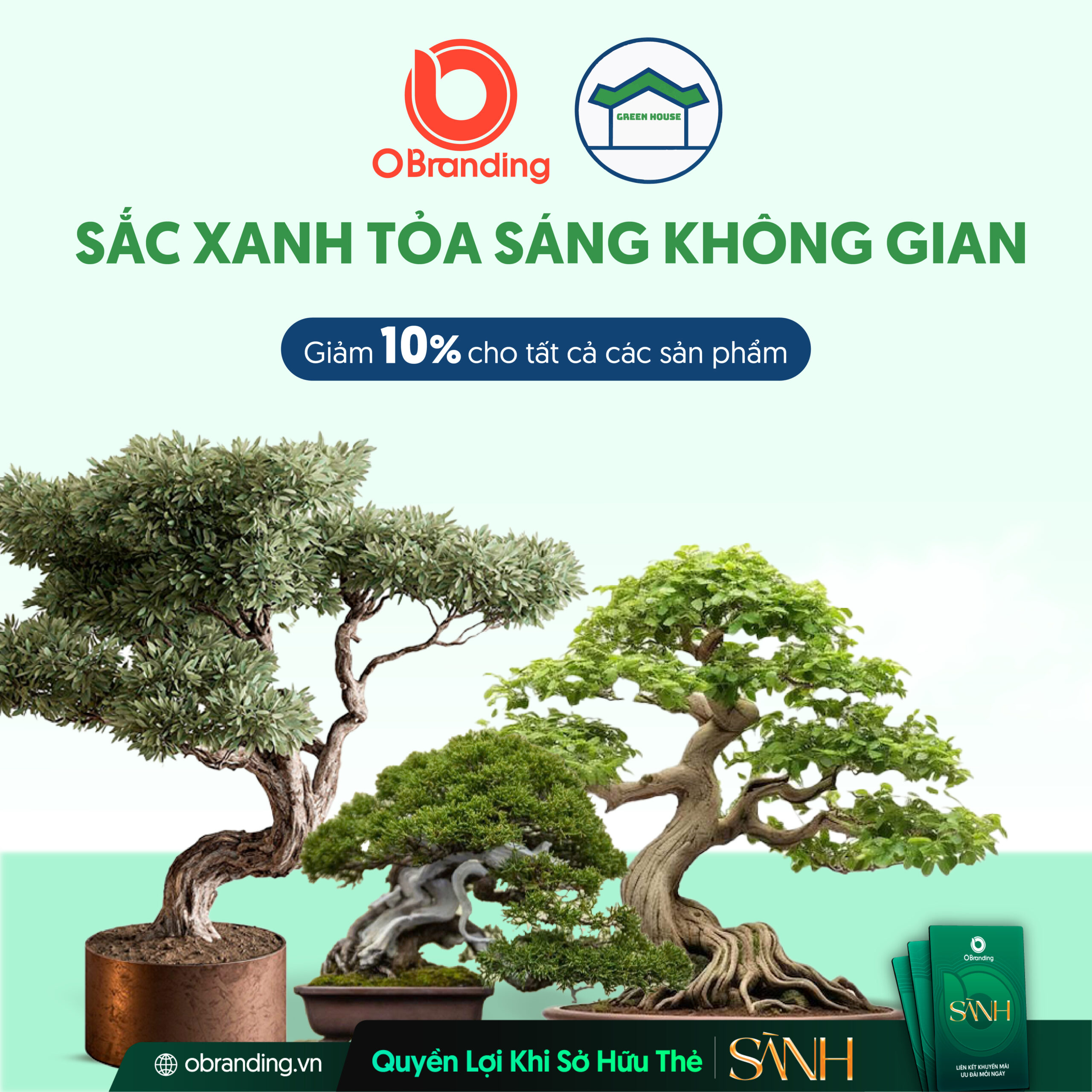 Đa dạng bonsai, cây thế và cây phong thủy