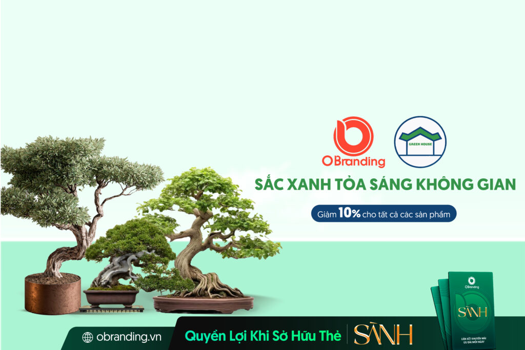 VƯỜN CÂY CẢNH TRÂM ANH – SẮC XANH NGHỆ THUẬT KIẾN TẠO KHÔNG GIAN SỐNG HÀI HÒA
