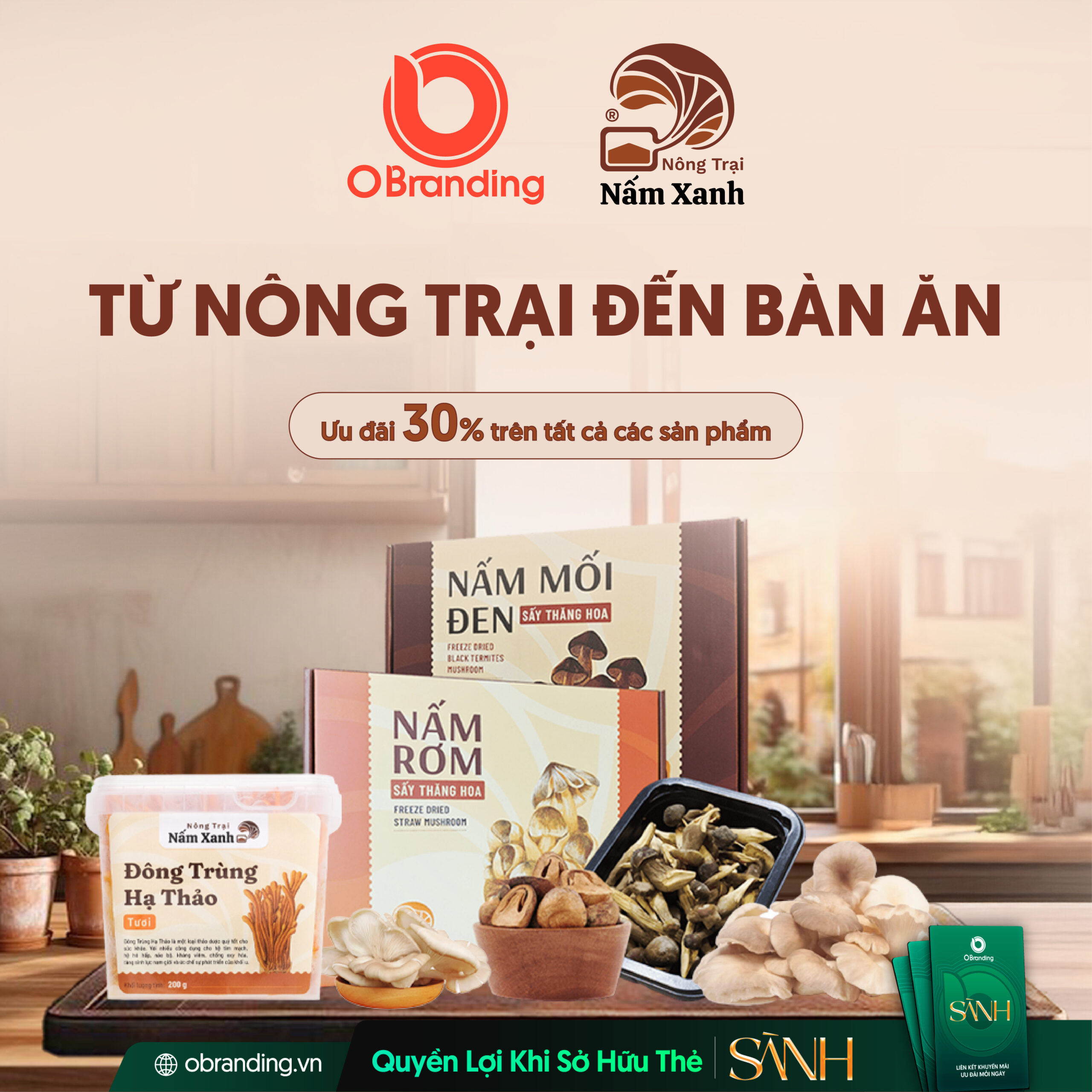 Chuỗi nông trại đạt chuẩn – Nền tảng cho chất lượng sản phẩm