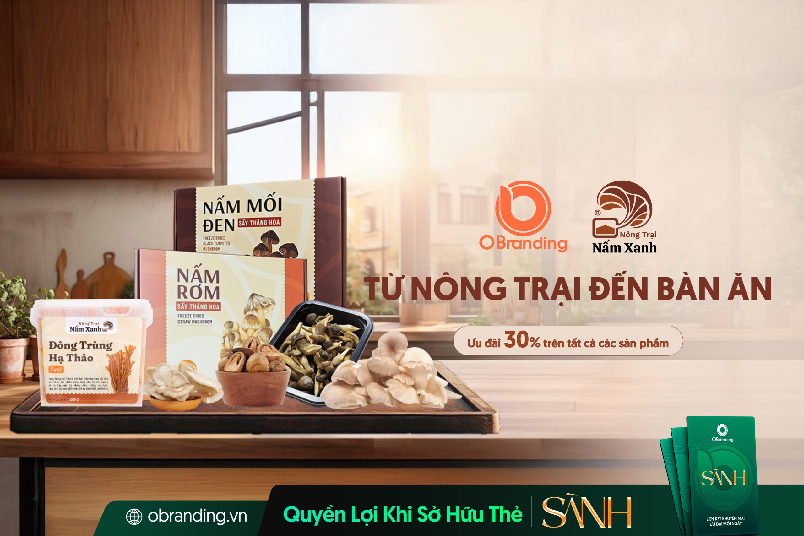 NÔNG TRẠI NẤM XANH – TỪ NÔNG TRẠI ĐẾN BÀN ĂN, GÌN GIỮ SỰ TƯƠI MỚI TỪ THIÊN NHIÊN
