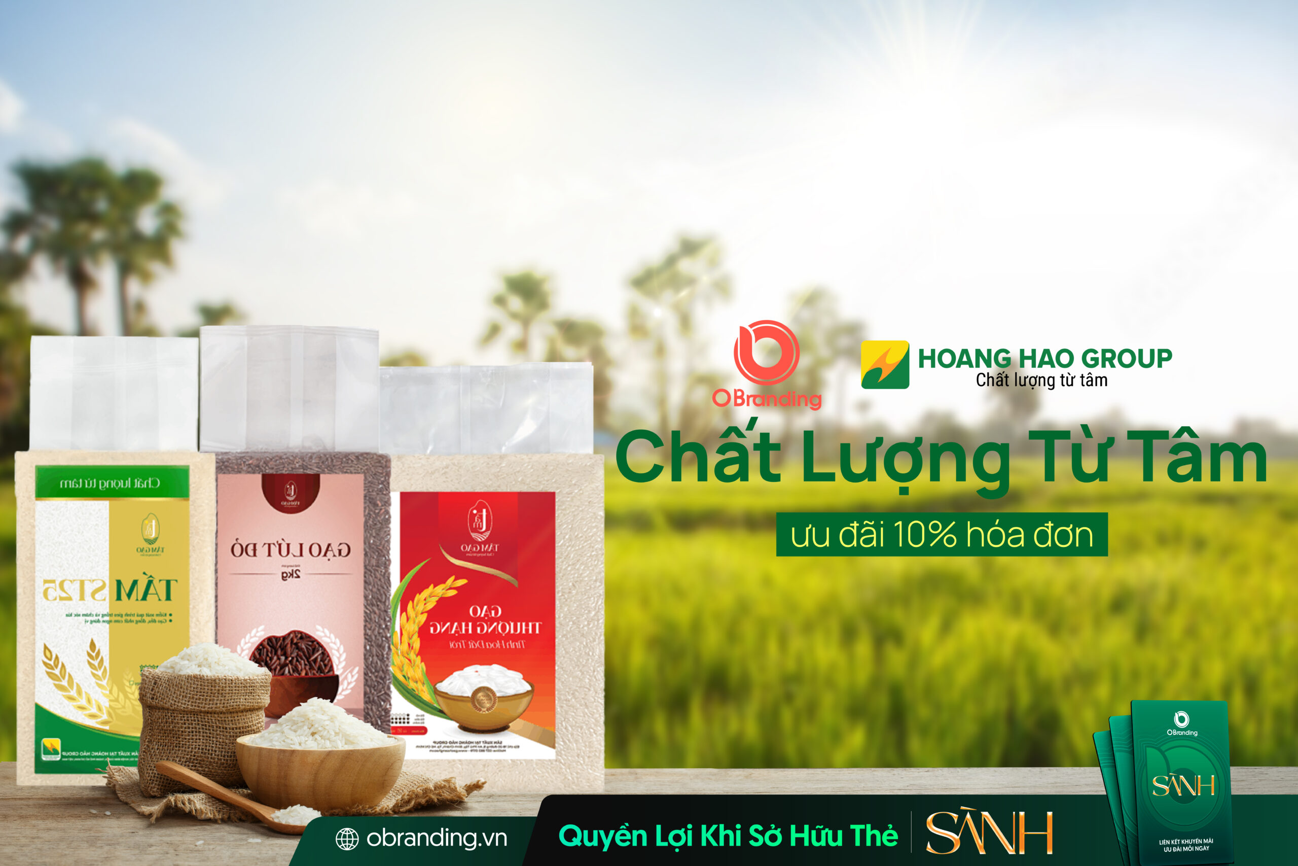 TÂM GẠO – CHẤT LƯỢNG TỪ TÂM