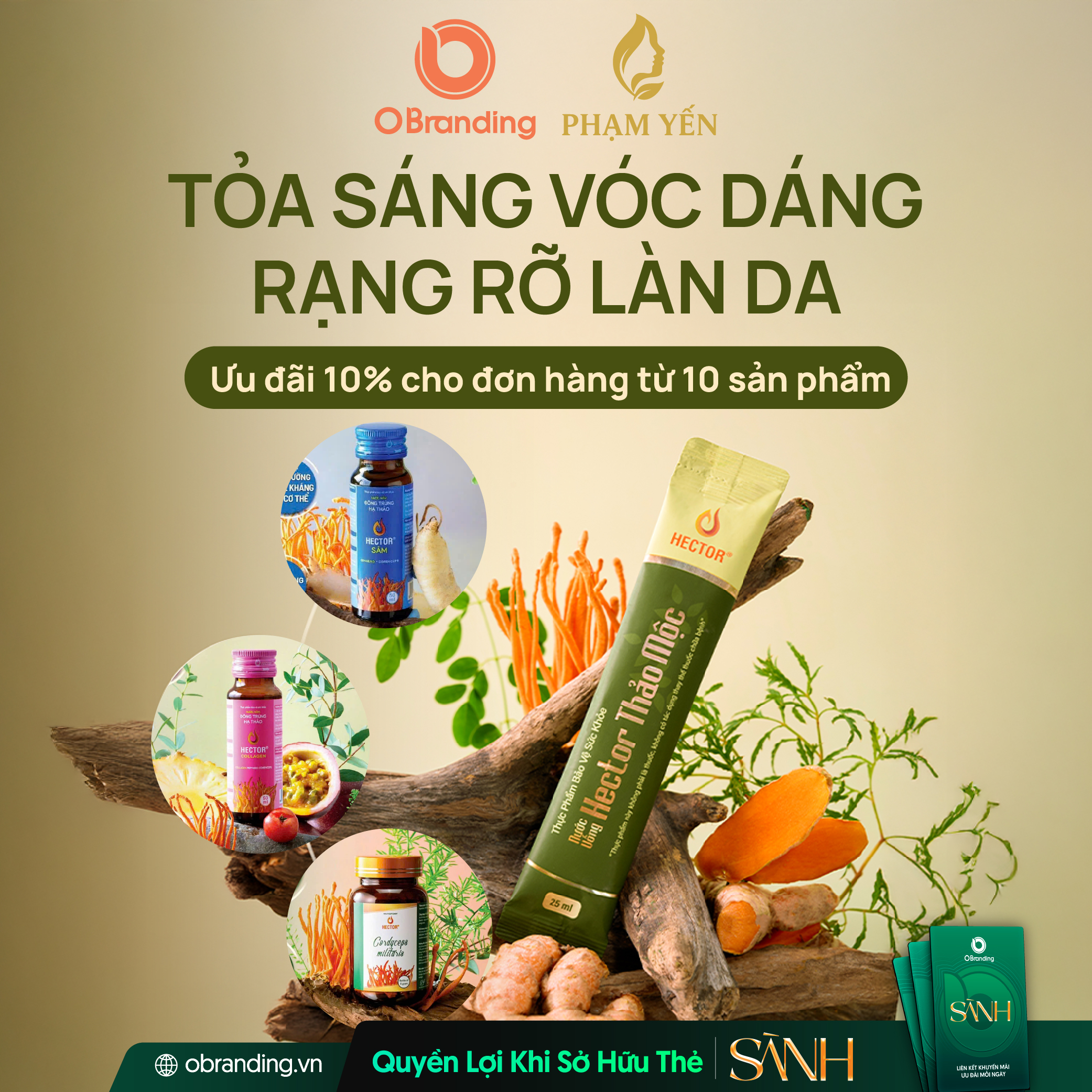 Phân Phối Chính Hãng Thực Phẩm Bảo Vệ Sức Khỏe HECTOR Và Mỹ Phẩm COSKI