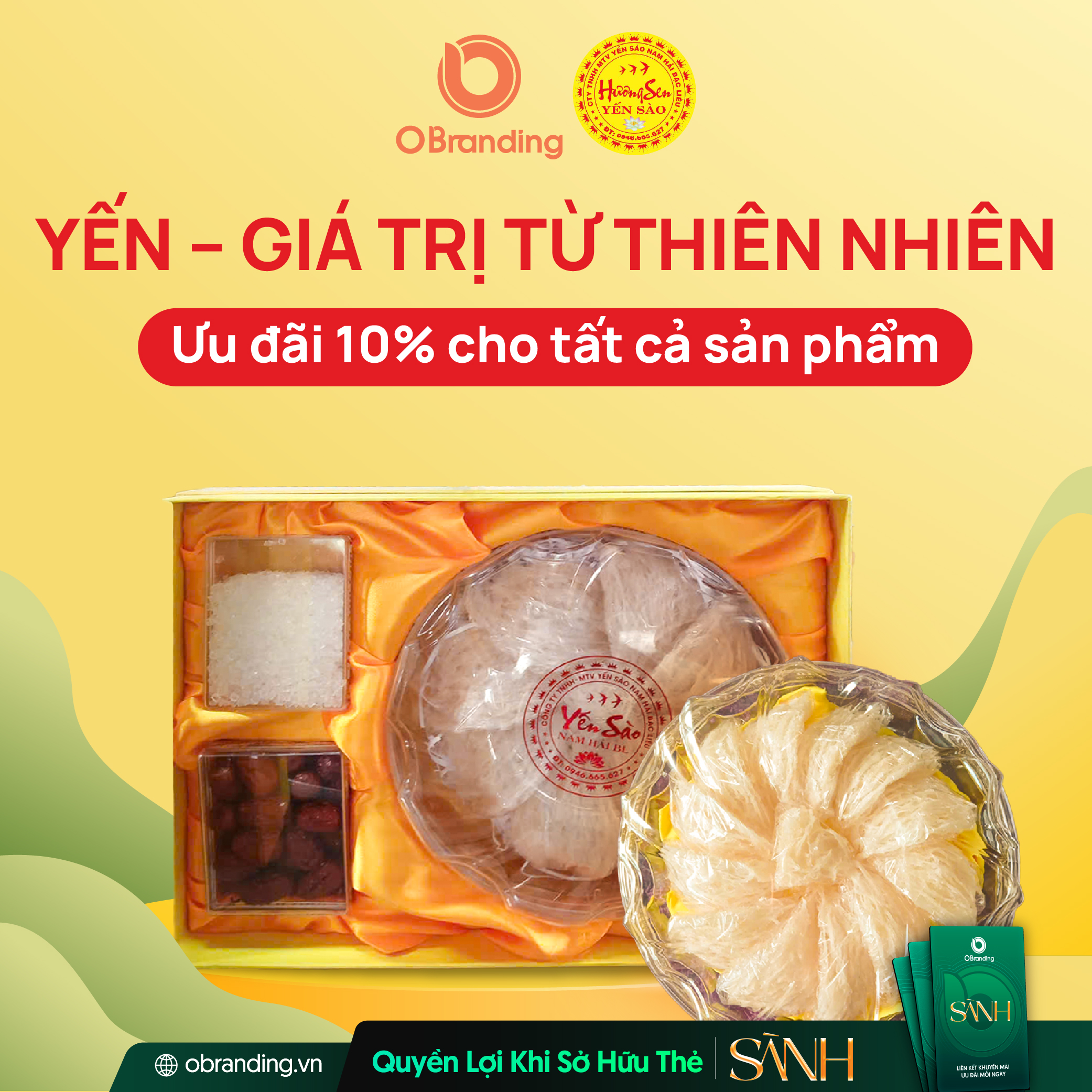 Chuyên Nuôi, Khai Thác Và Chế Biến Tổ Yến Nguyên Chất