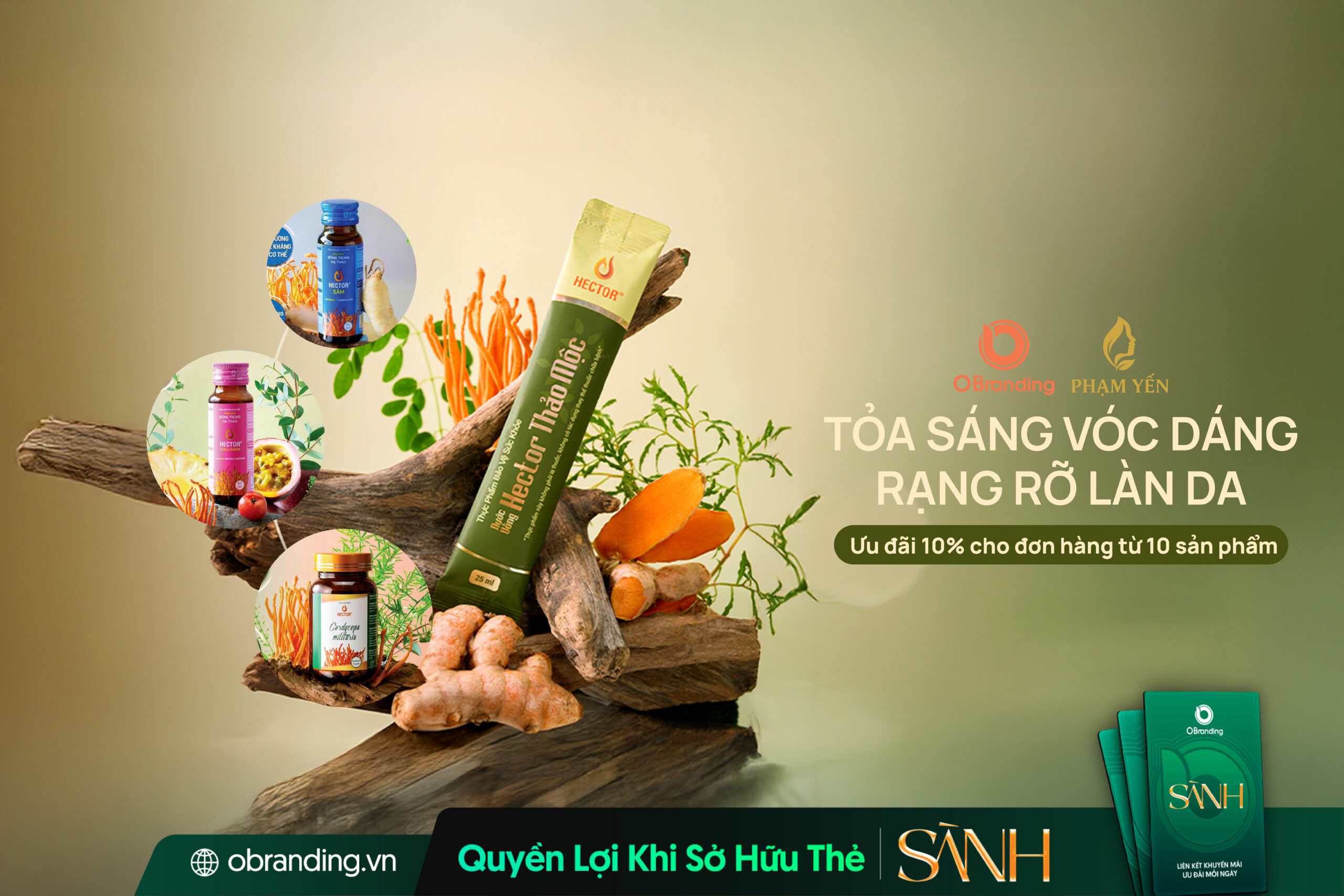 HỘ KINH DOANH MỸ PHẨM PHẠM THỊ YẾN – TỎA SÁNG VÓC DÁNG, RẠNG RỠ LÀN DA