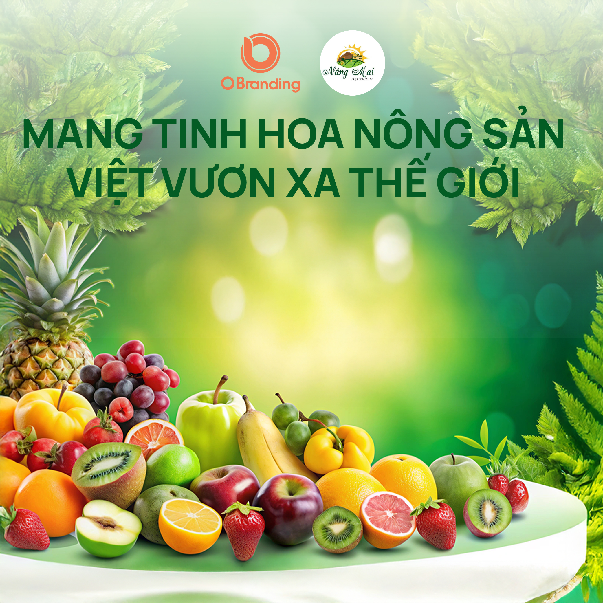 Nông Nghiệp Nắng Mai