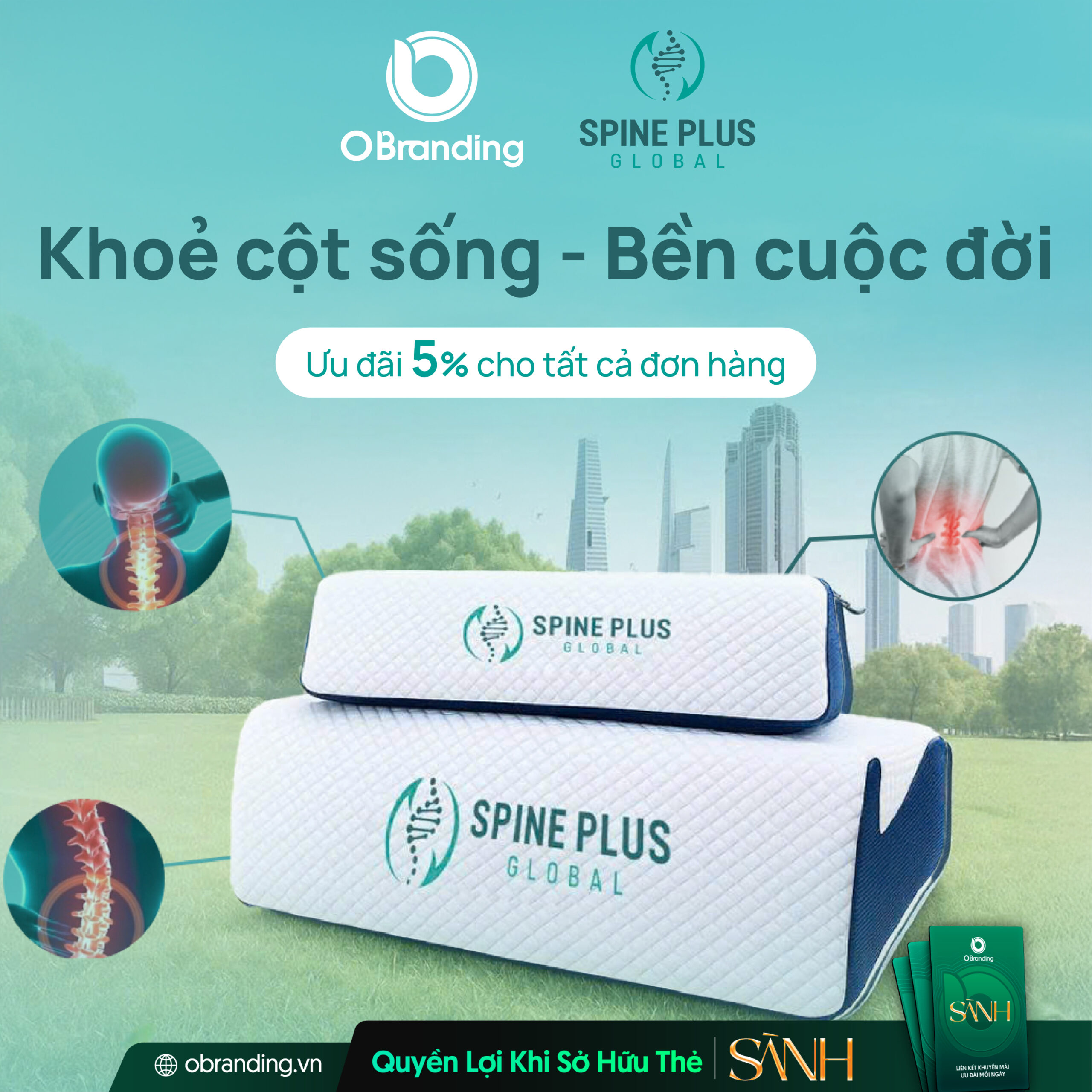 Spine Plus Global