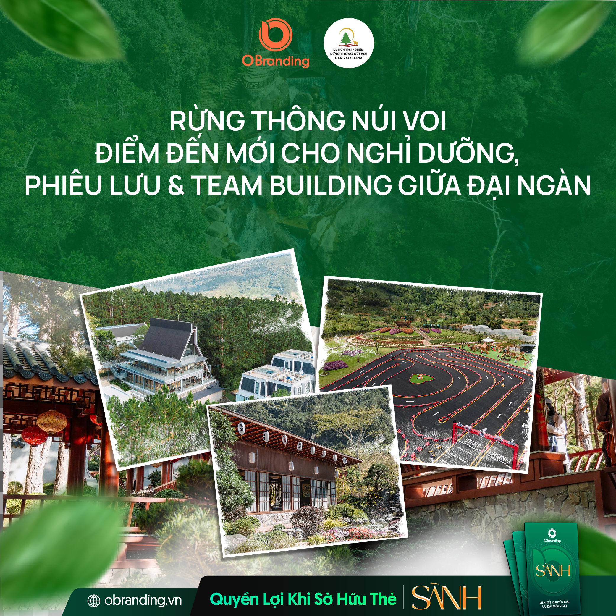 KHU DU LỊCH RỪNG THÔNG NÚI VOI