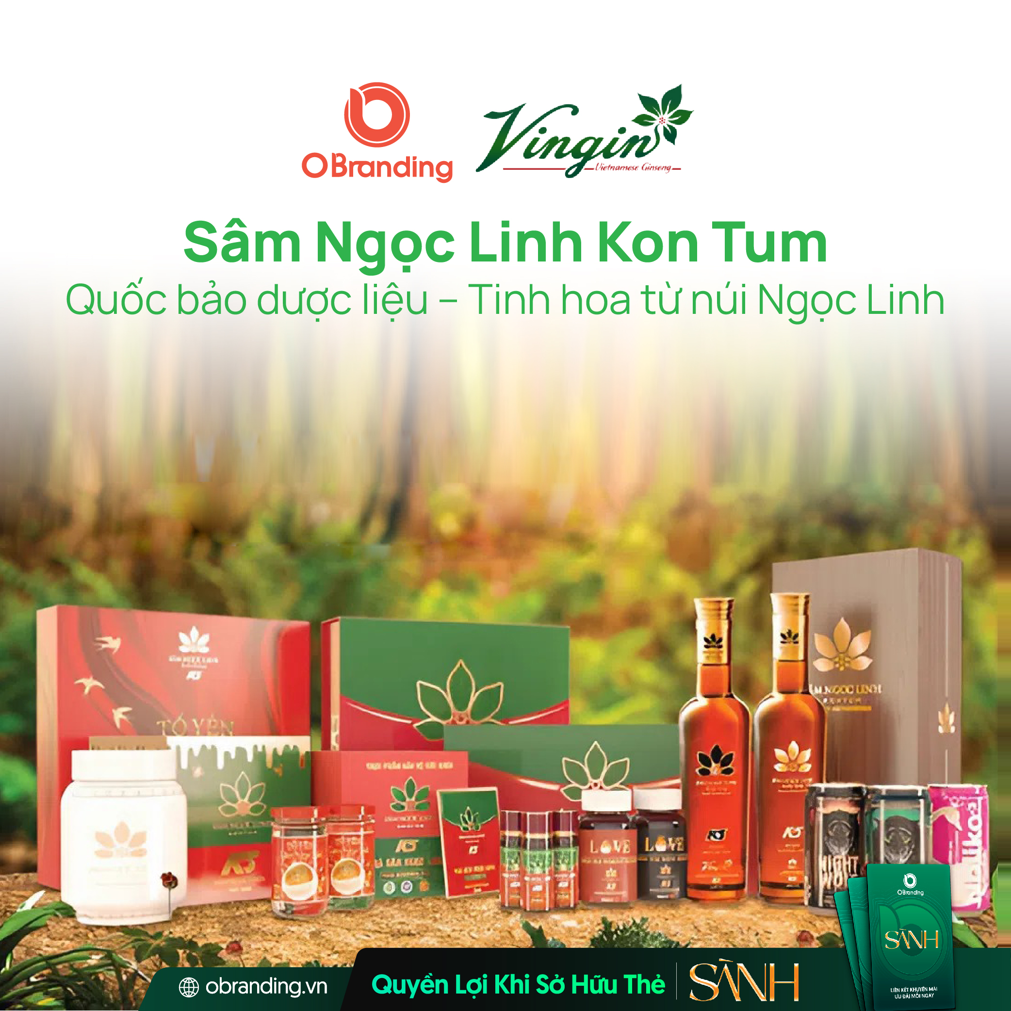 CÔNG TY CỔ PHẦN VINGIN