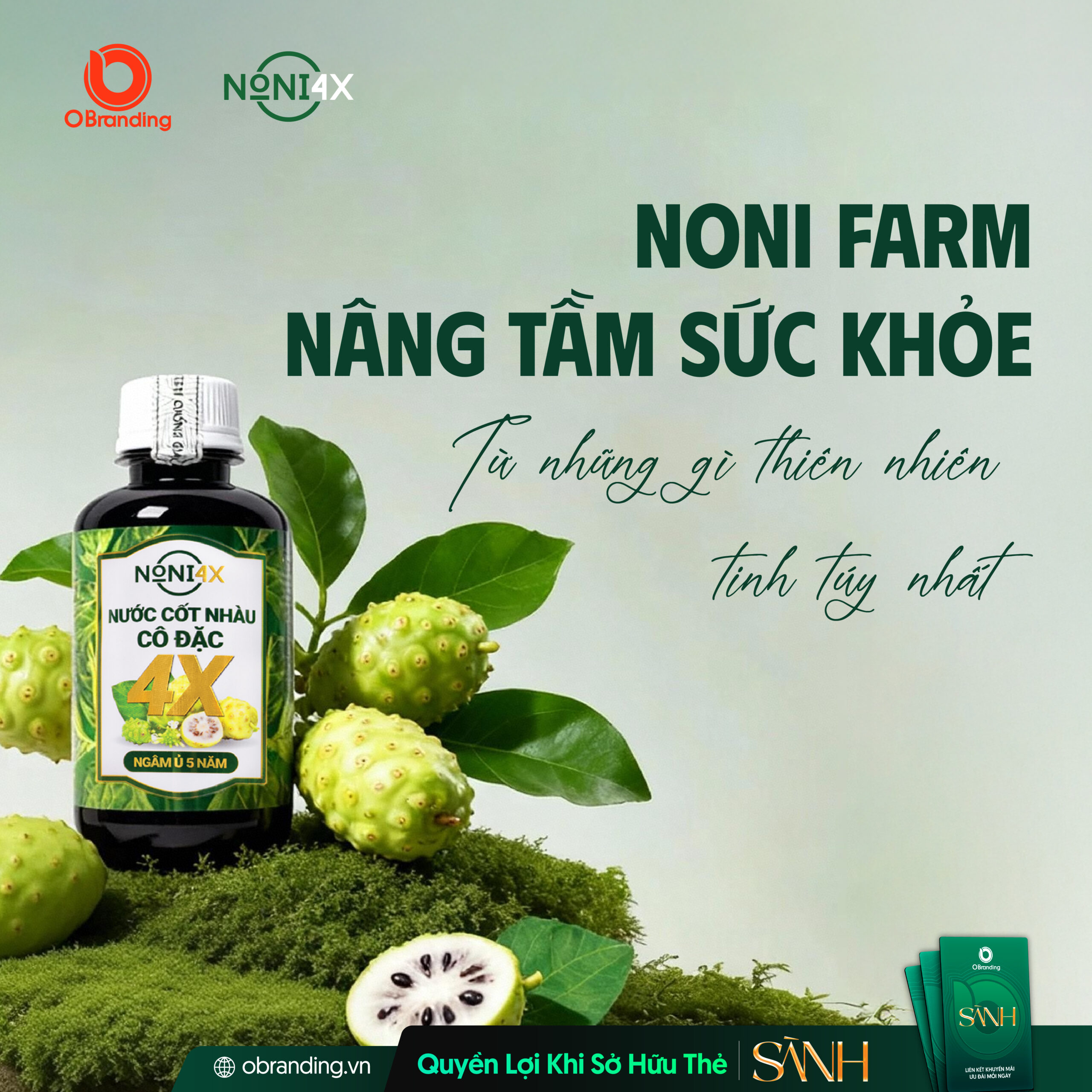 CÔNG TY TNHH THƯƠNG MẠI XUẤT NHẬP KHẨU PHONG THẢO