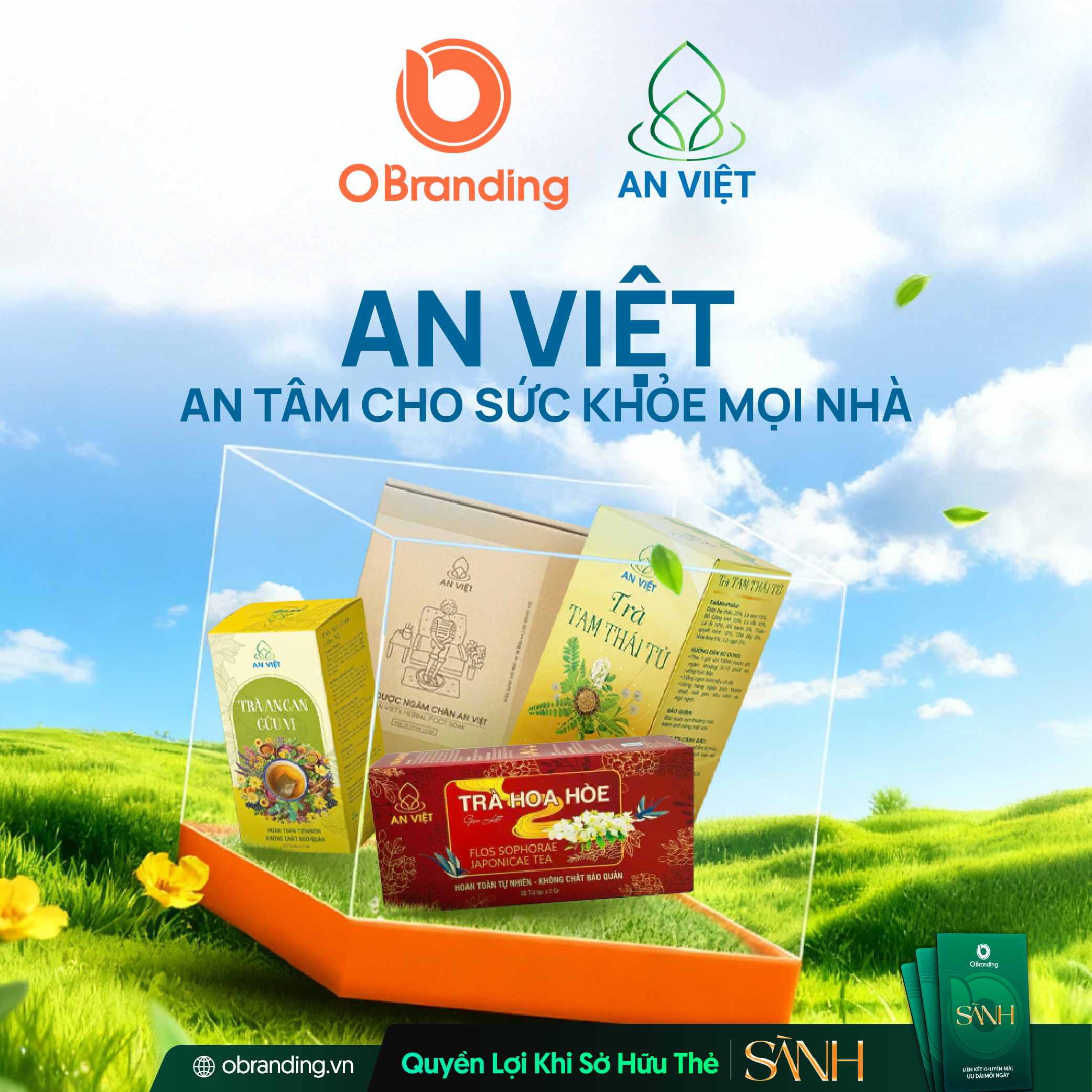 Công ty TNHH Dược Liệu An Việt