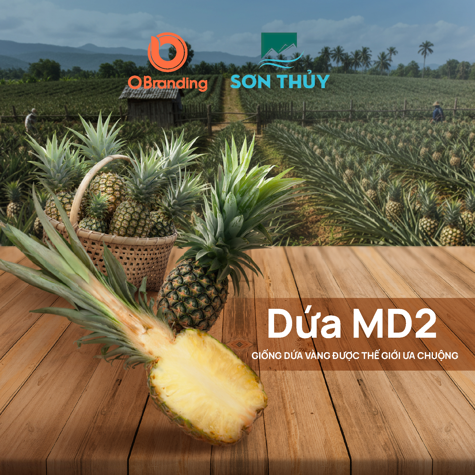 công ty Sơn Thủy