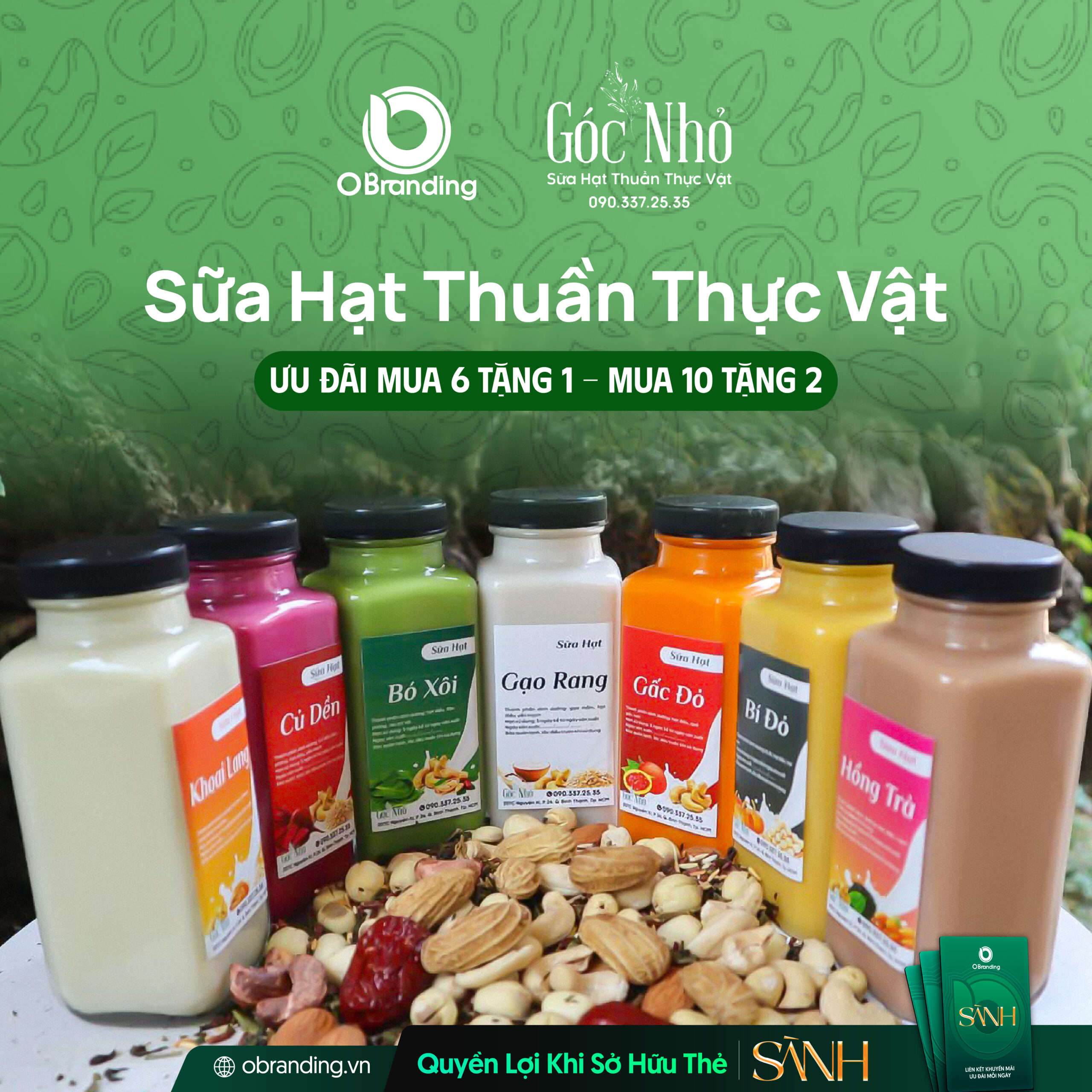 sữa hạt thuần thực vật