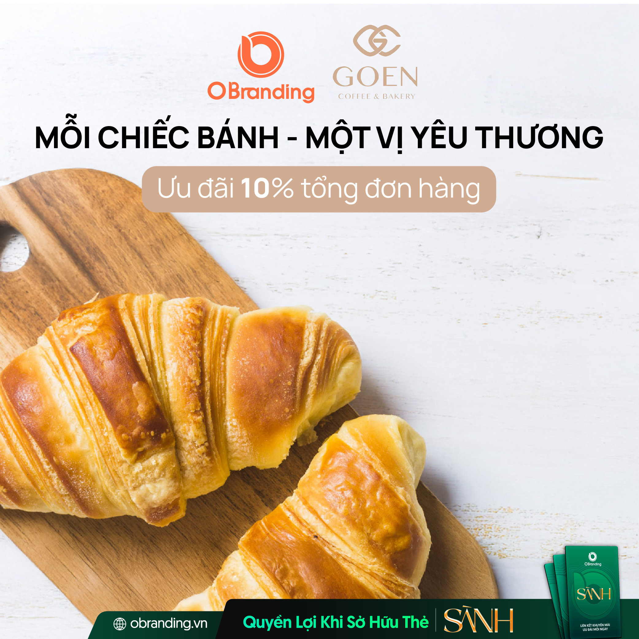 Oasis International Việt Nam