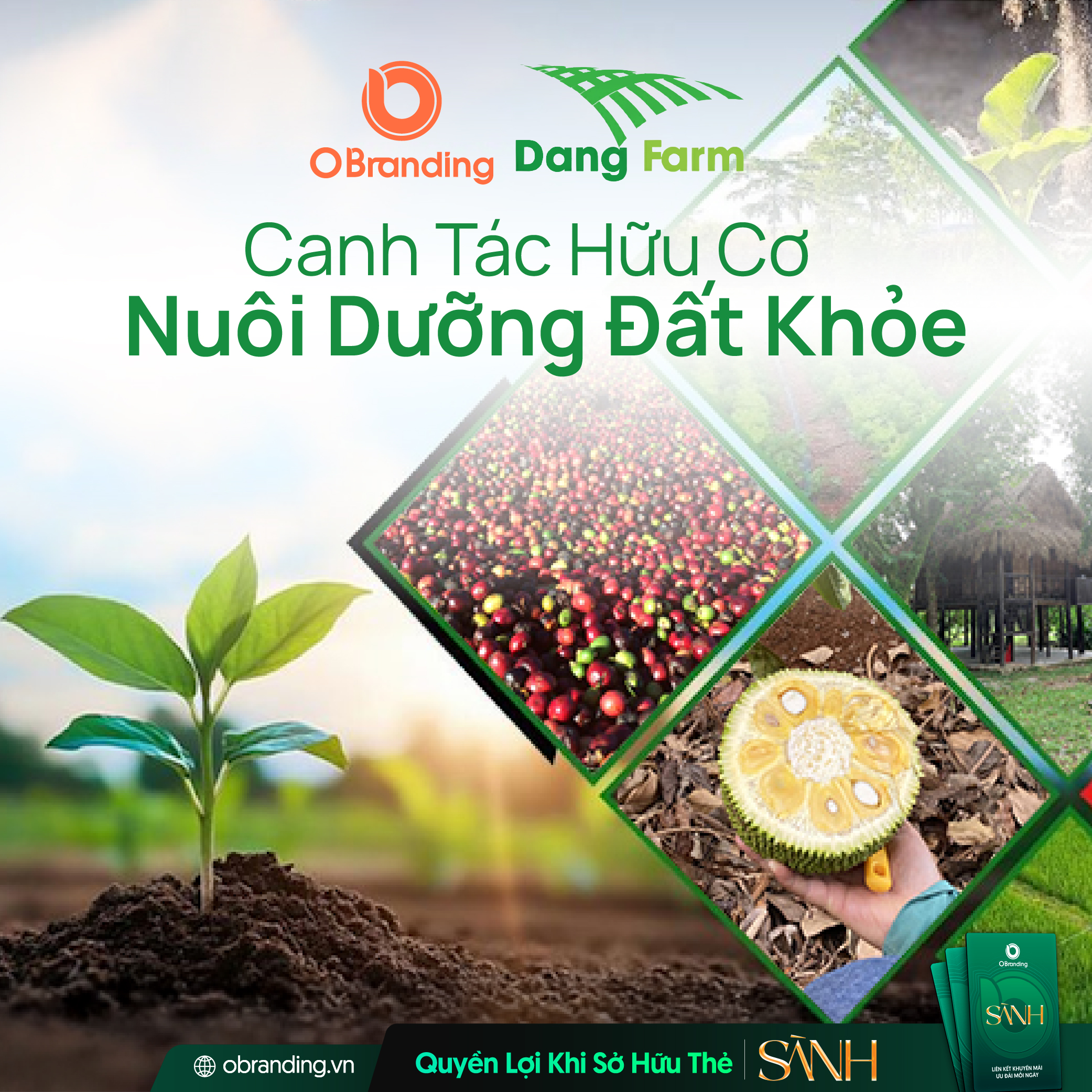 Nông Trại Dang Farm