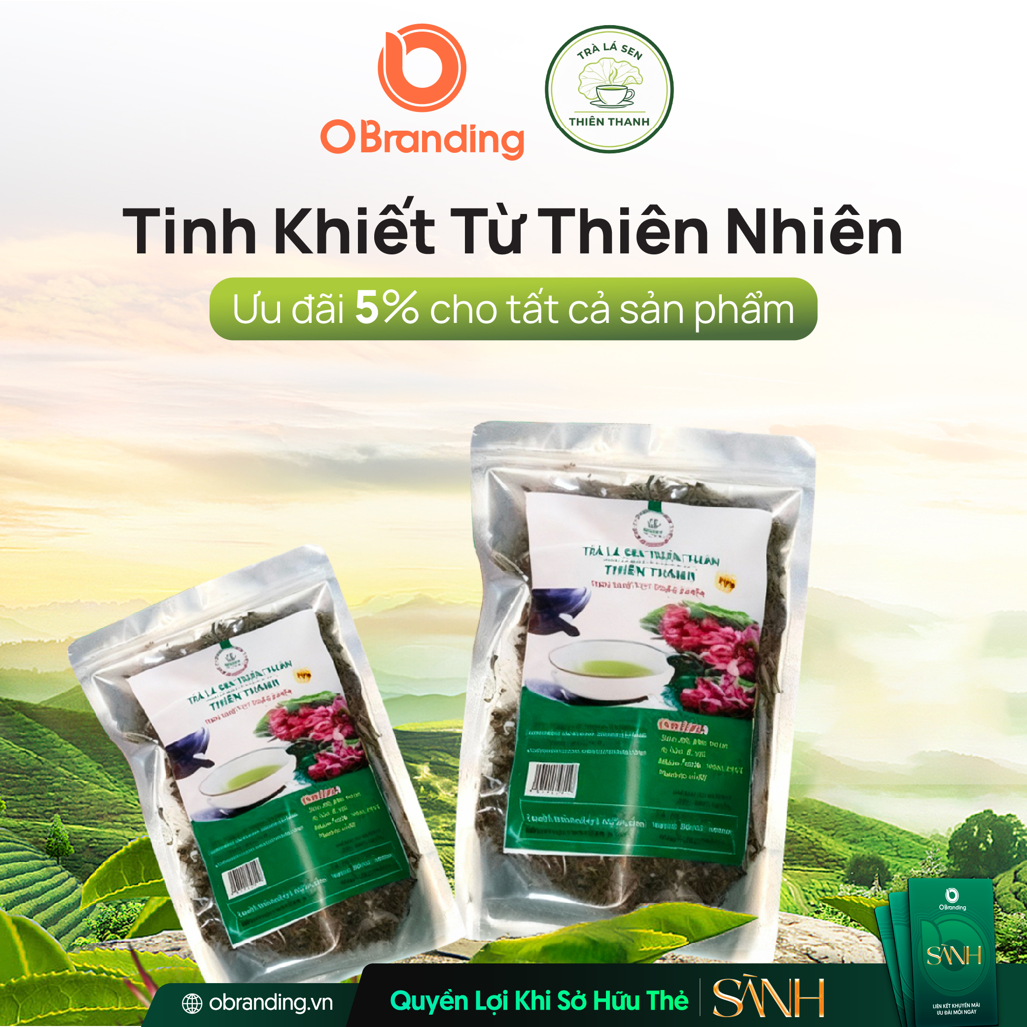 Trà Sen Thiên Thanh