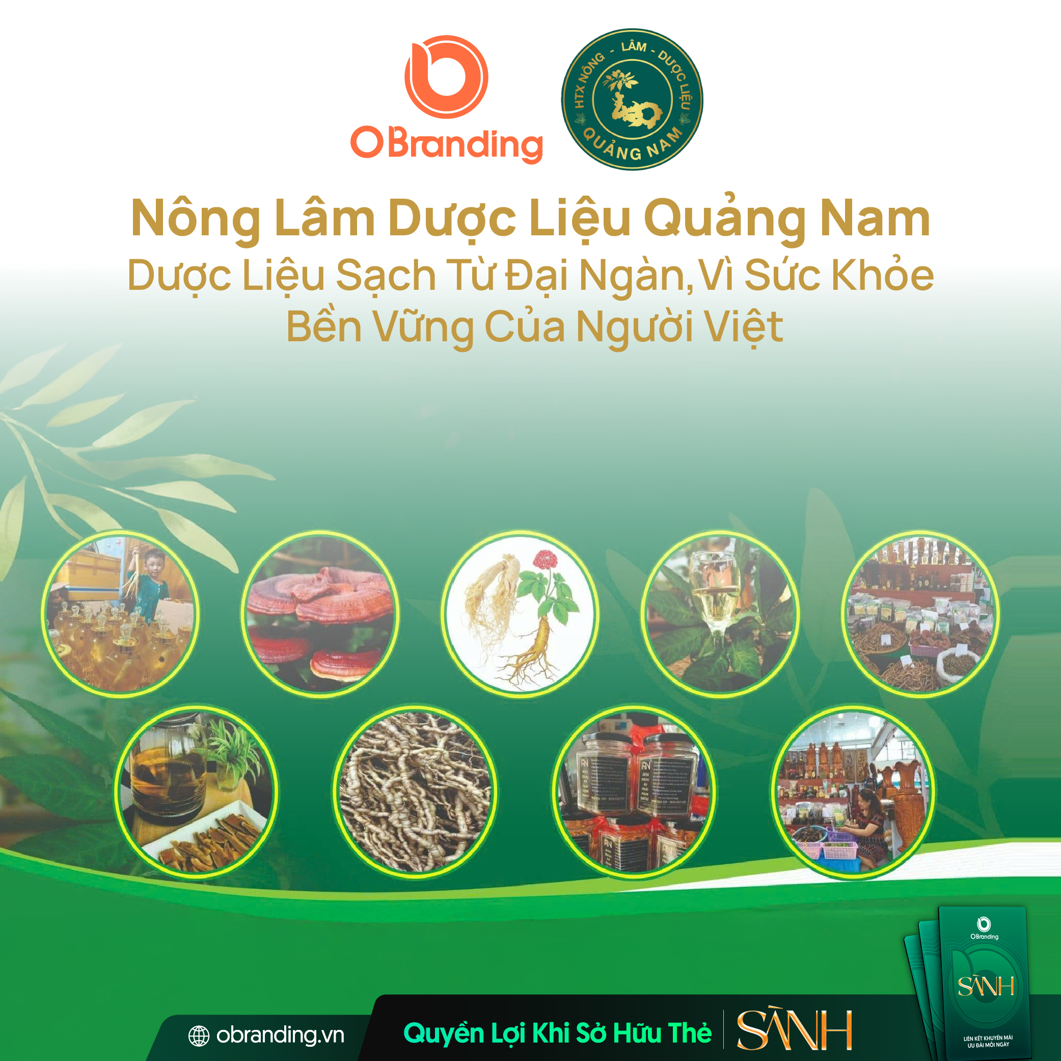HTX Nông Lâm Dược Liệu Quảng Nam