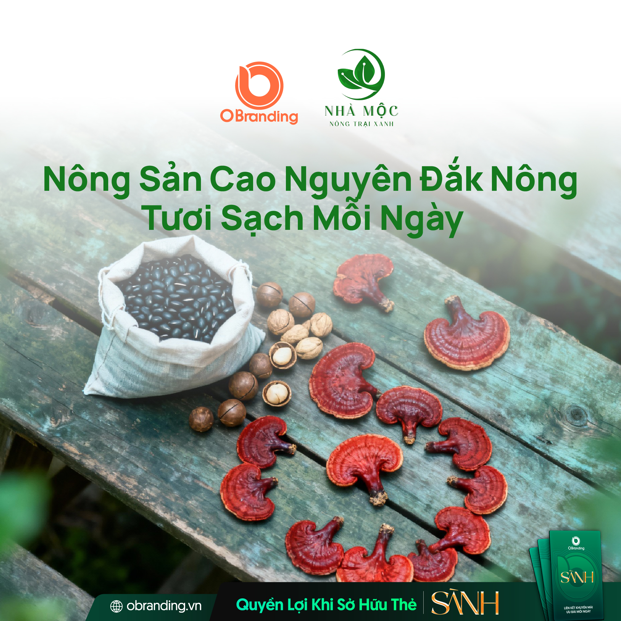 Nhà Mộc Đắk Nông