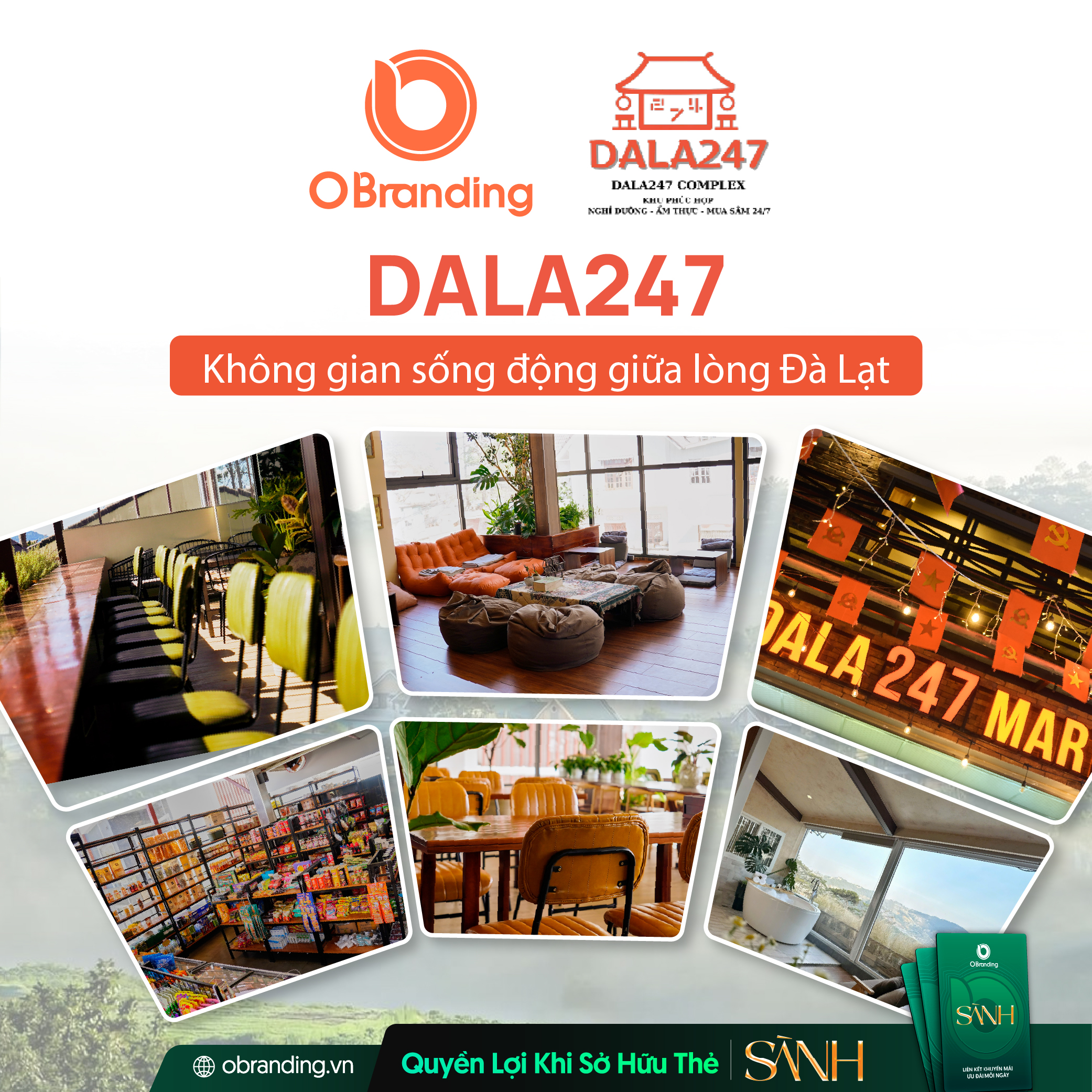 DALA247 (DALHA)