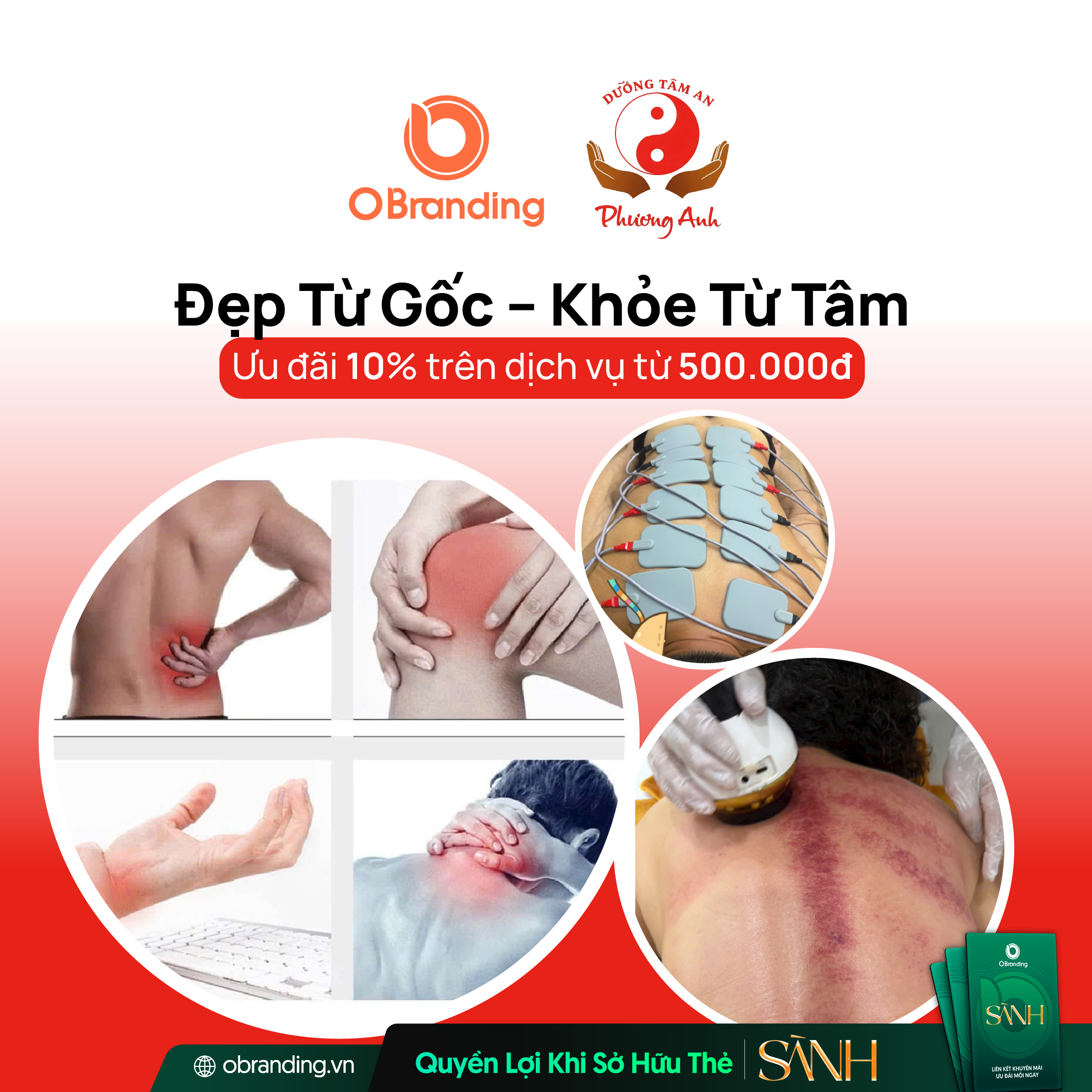 Dưỡng Tâm An Phương Anh