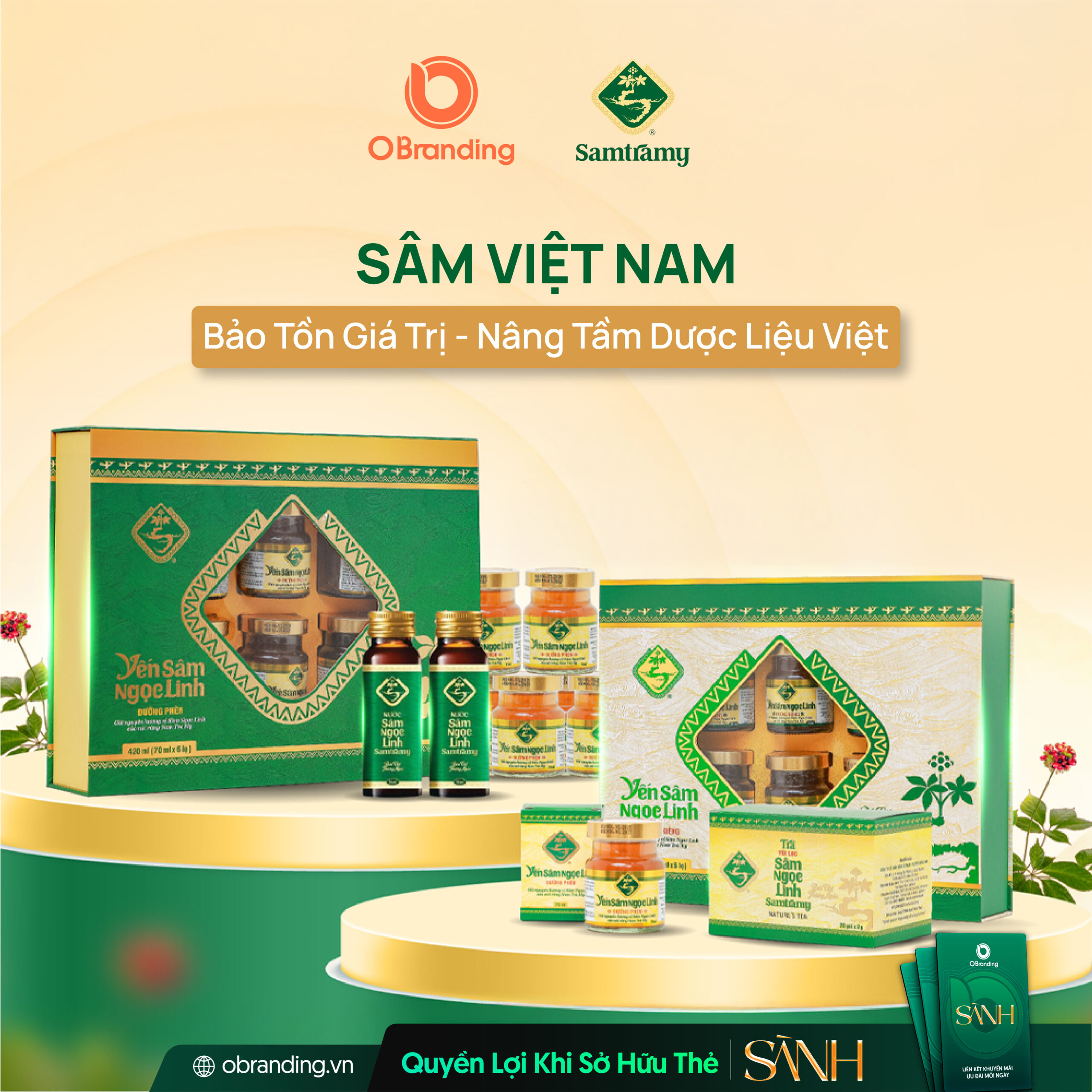 Sâm Việt Nam