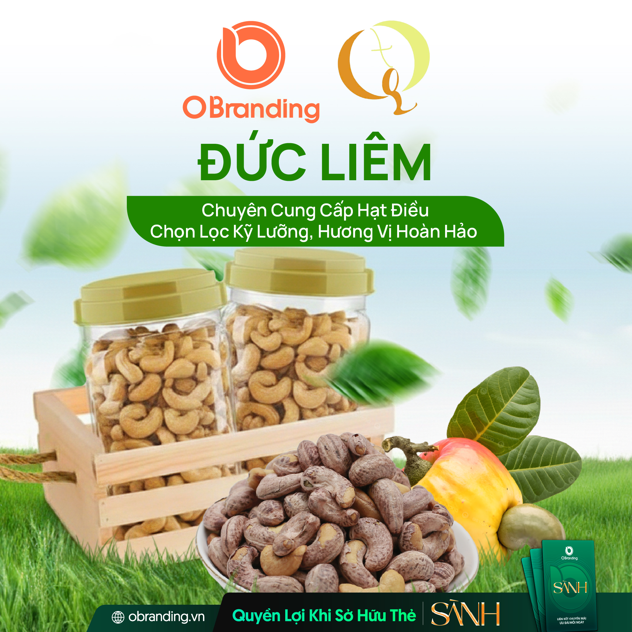 Hạt điều Đức Liêm