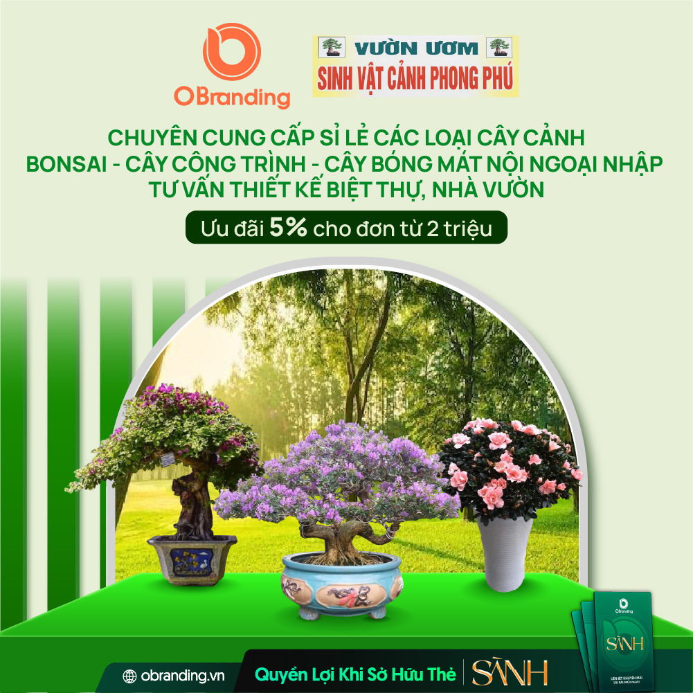 Sinh Vật Cảnh Phong Phú